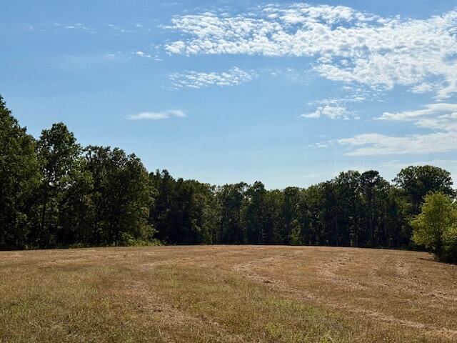 7821 Highway Kk Property Photo 34