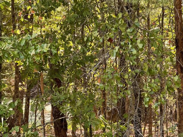 7821 Highway Kk Property Photo 44