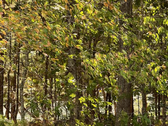 7821 Highway Kk Property Photo 45