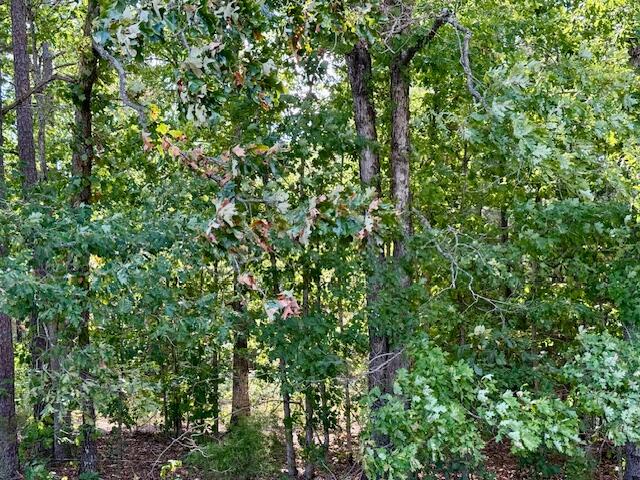 7821 Highway Kk Property Photo 46
