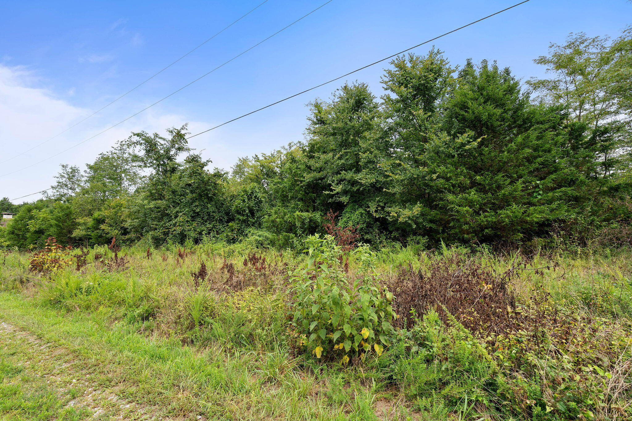 60332275 Property Photo 4