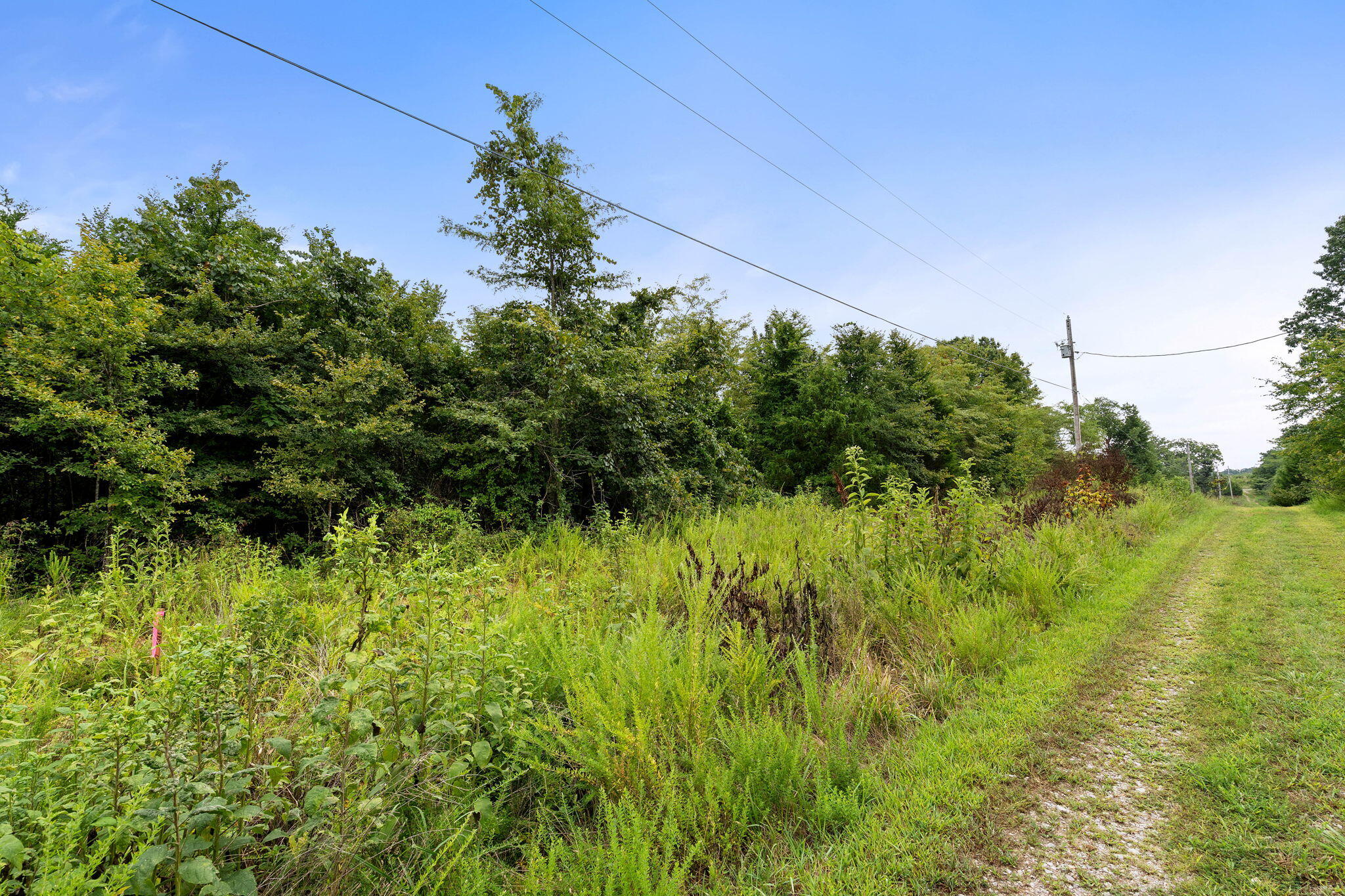 60332275 Property Photo 5