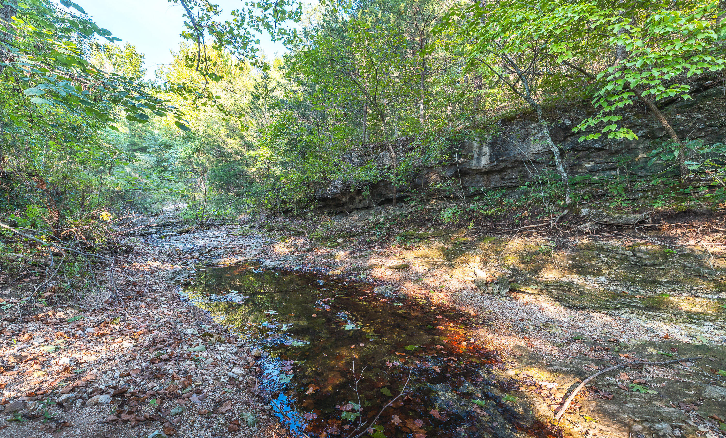 81 Meadowlark Road Property Photo 8