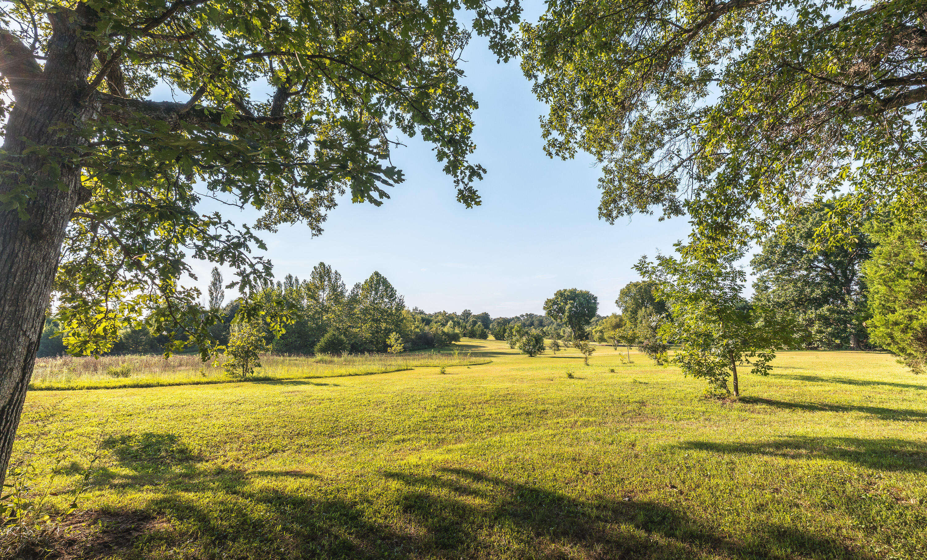 81 Meadowlark Road Property Photo 66