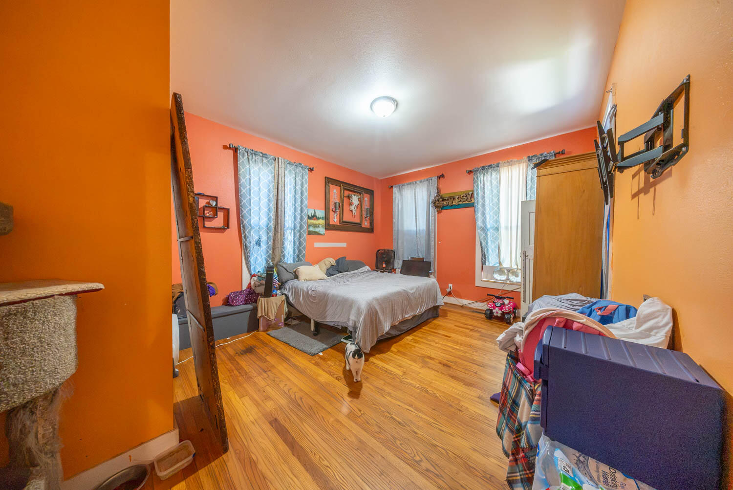 213 Arch Street Property Photo 8