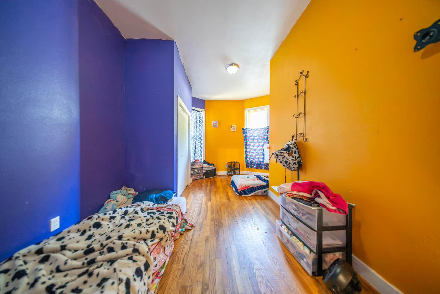 213 Arch Street Property Photo 12