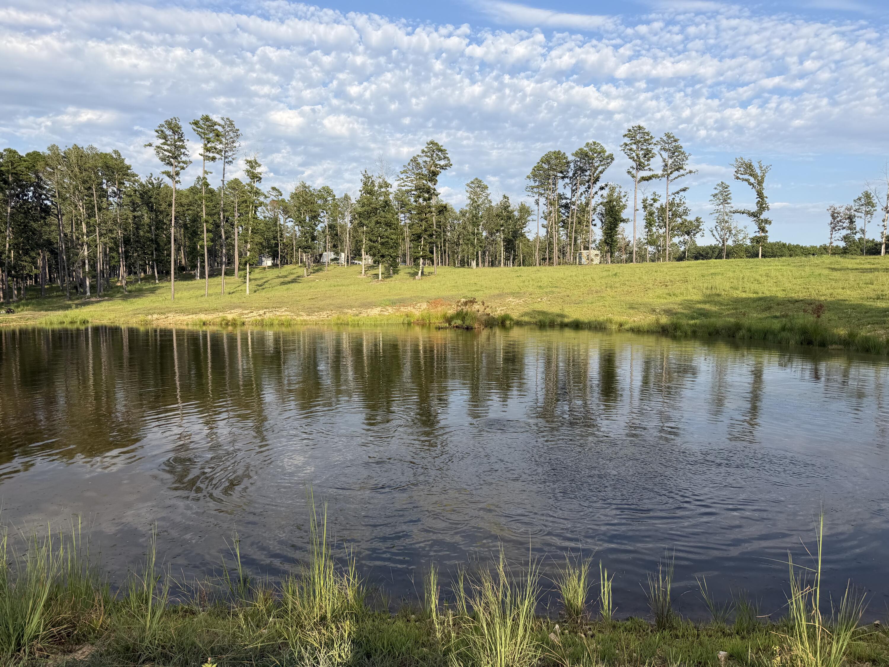 2392 Highway 34 Property Photo 9