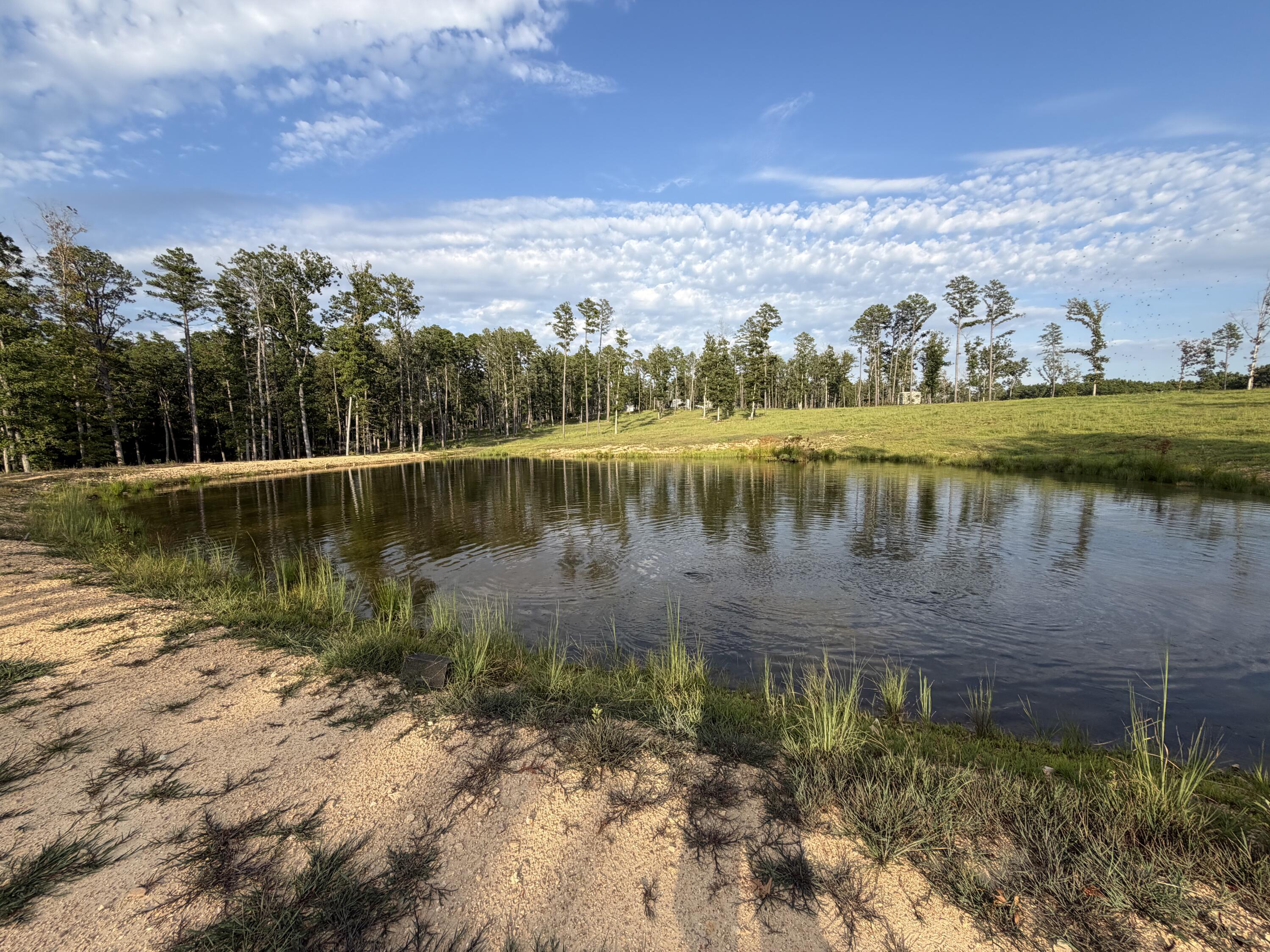 2392 Highway 34 Property Photo 10