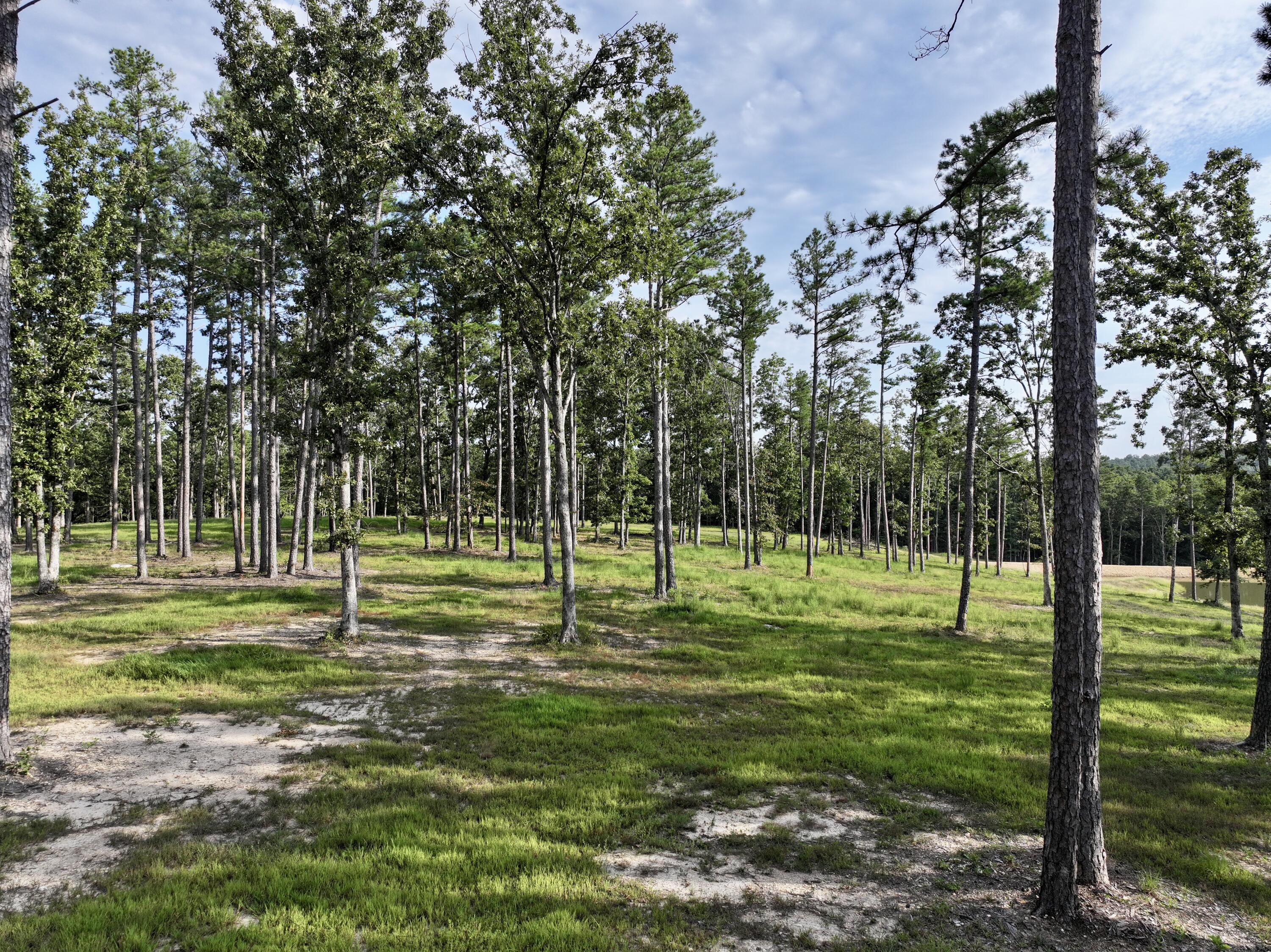 2392 Highway 34 Property Photo 42