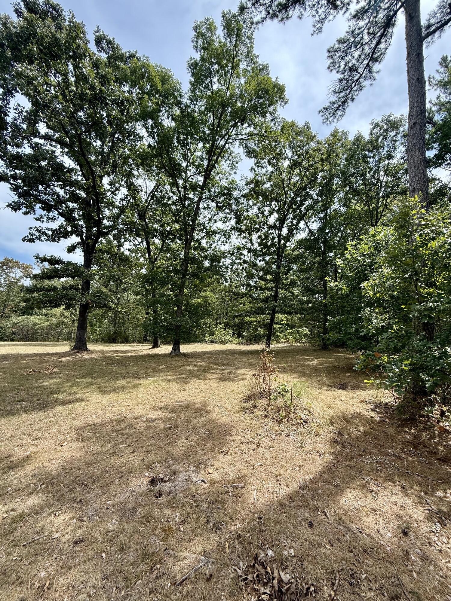 8083 Illinois Road Property Photo 42
