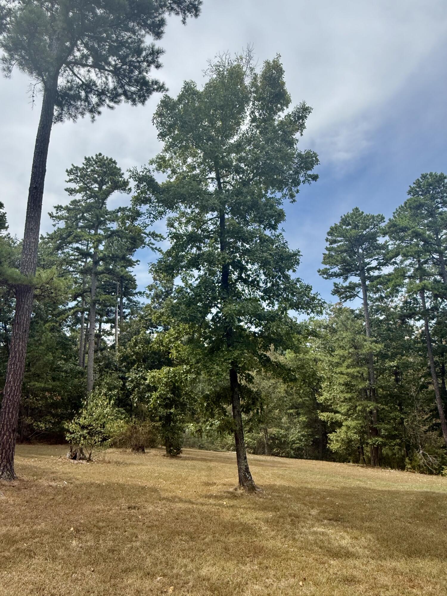 8083 Illinois Road Property Photo 47