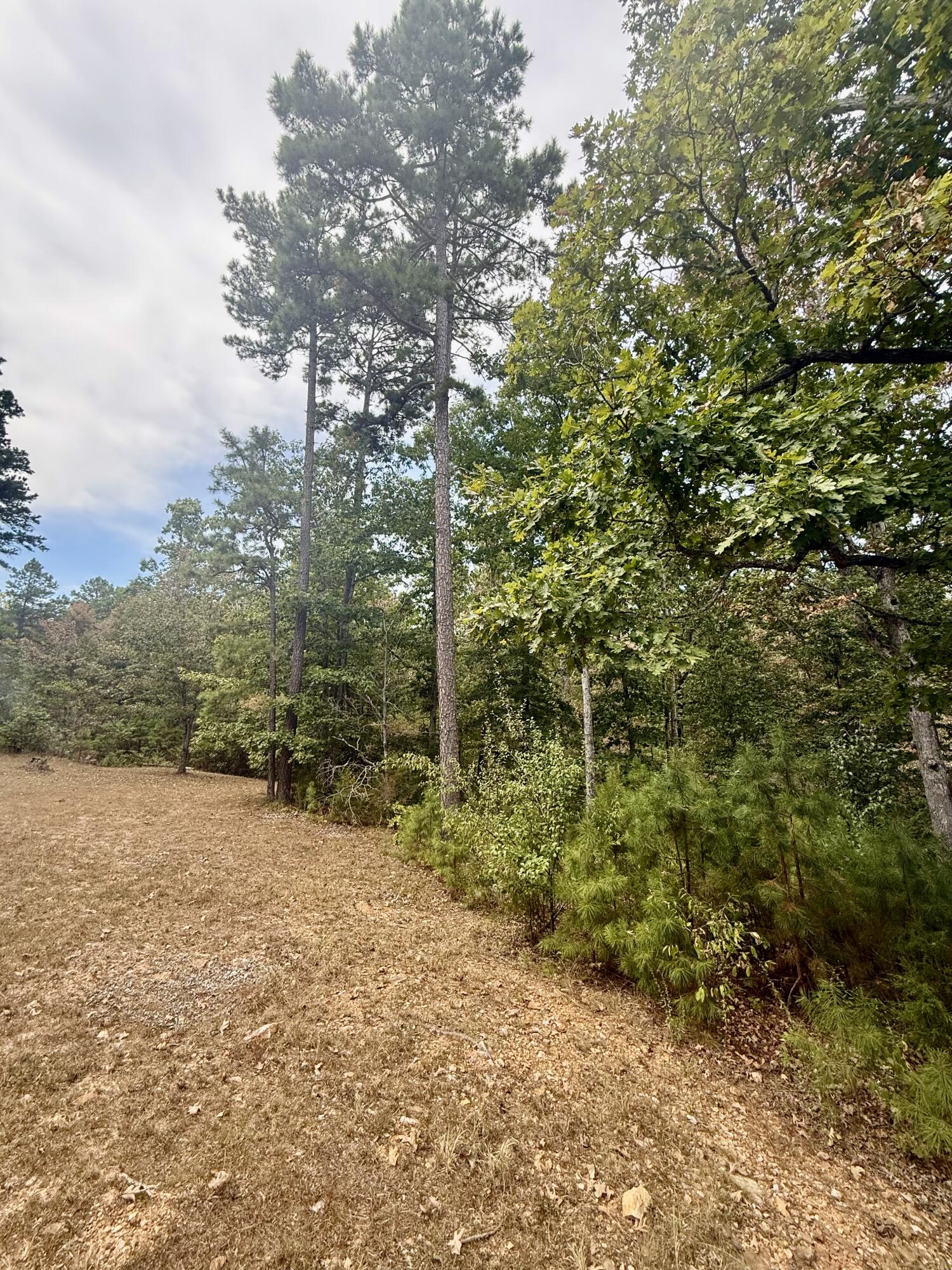 8083 Illinois Road Property Photo 51