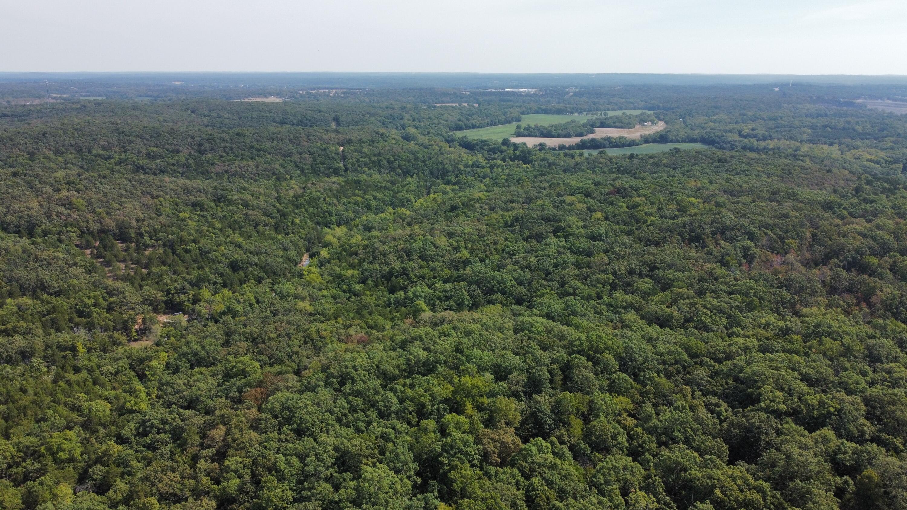 21721 Canyon Drive Property Photo 4