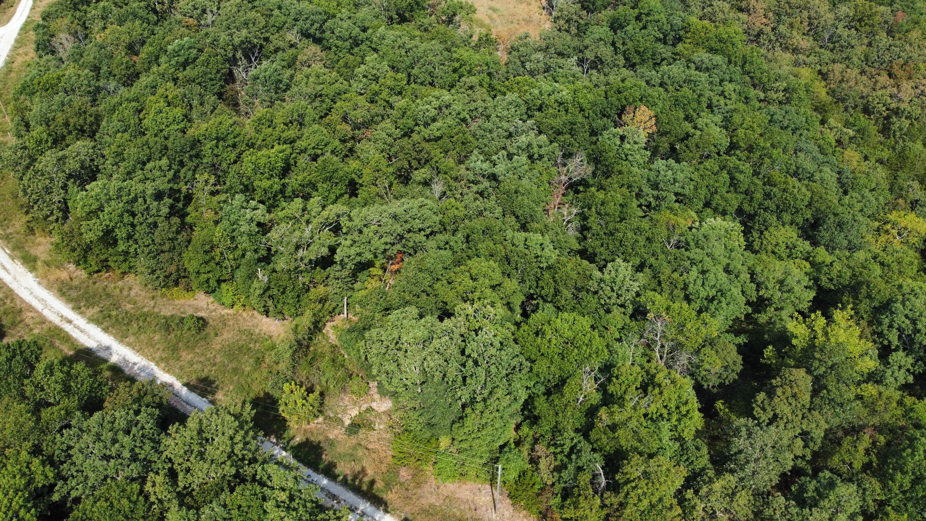 21721 Canyon Drive Property Photo 10