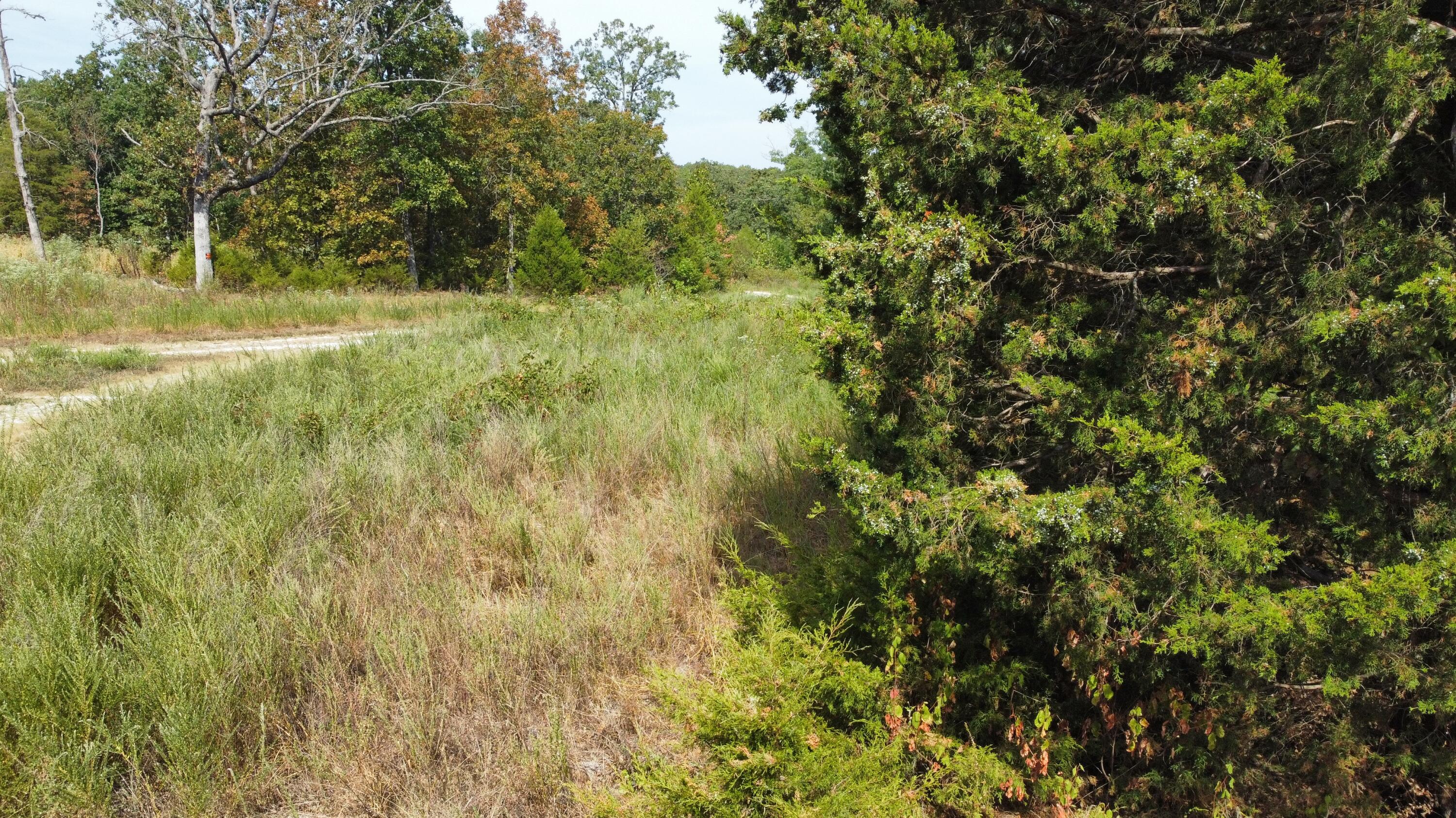 21721 Canyon Drive Property Photo 13