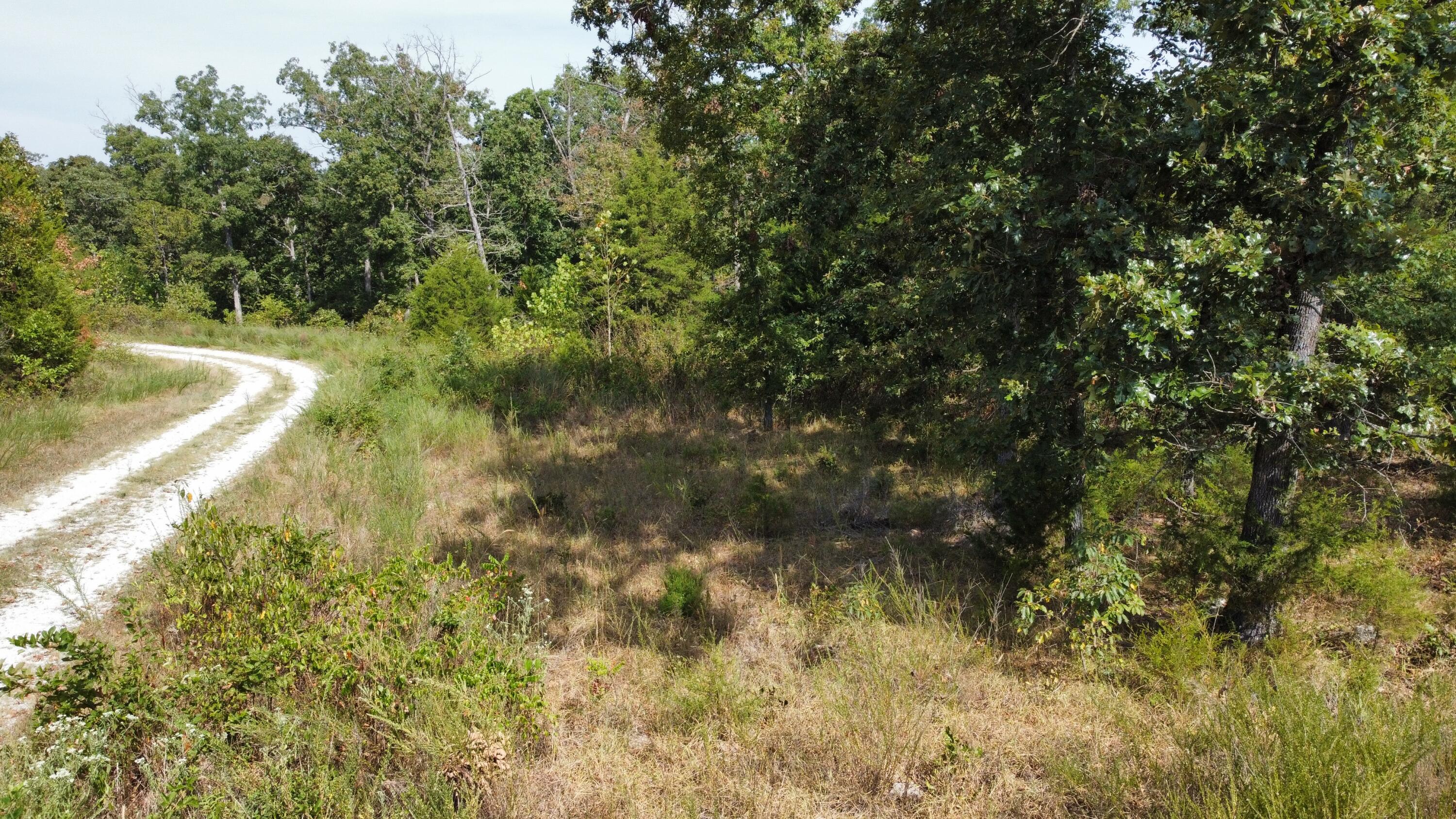 21721 Canyon Drive Property Photo 14