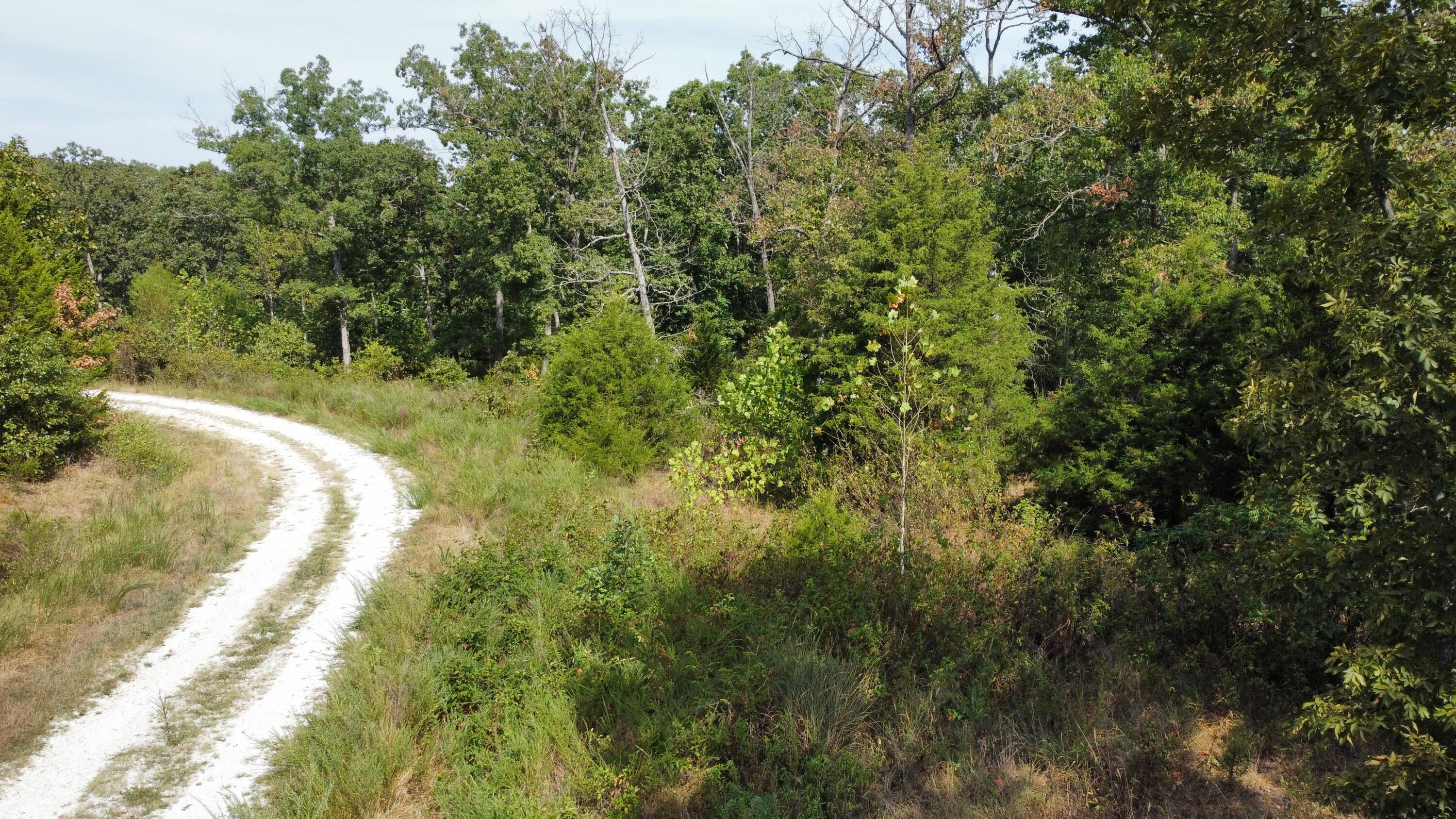21721 Canyon Drive Property Photo 15