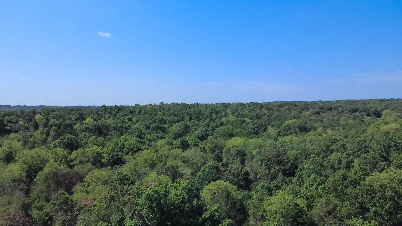 00 Oak Grove Road Property Photo 4