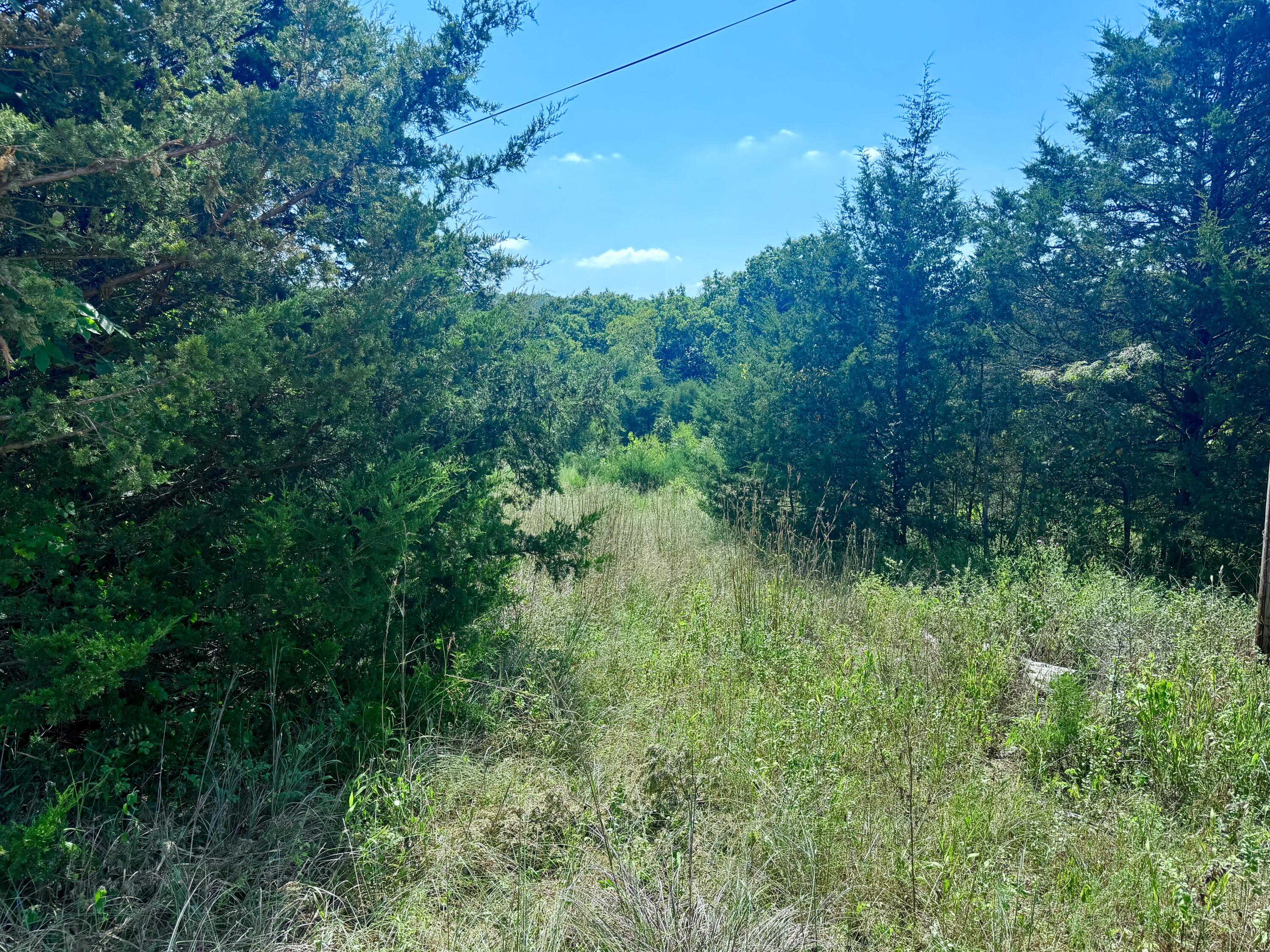 00 Oak Grove Road Property Photo 8