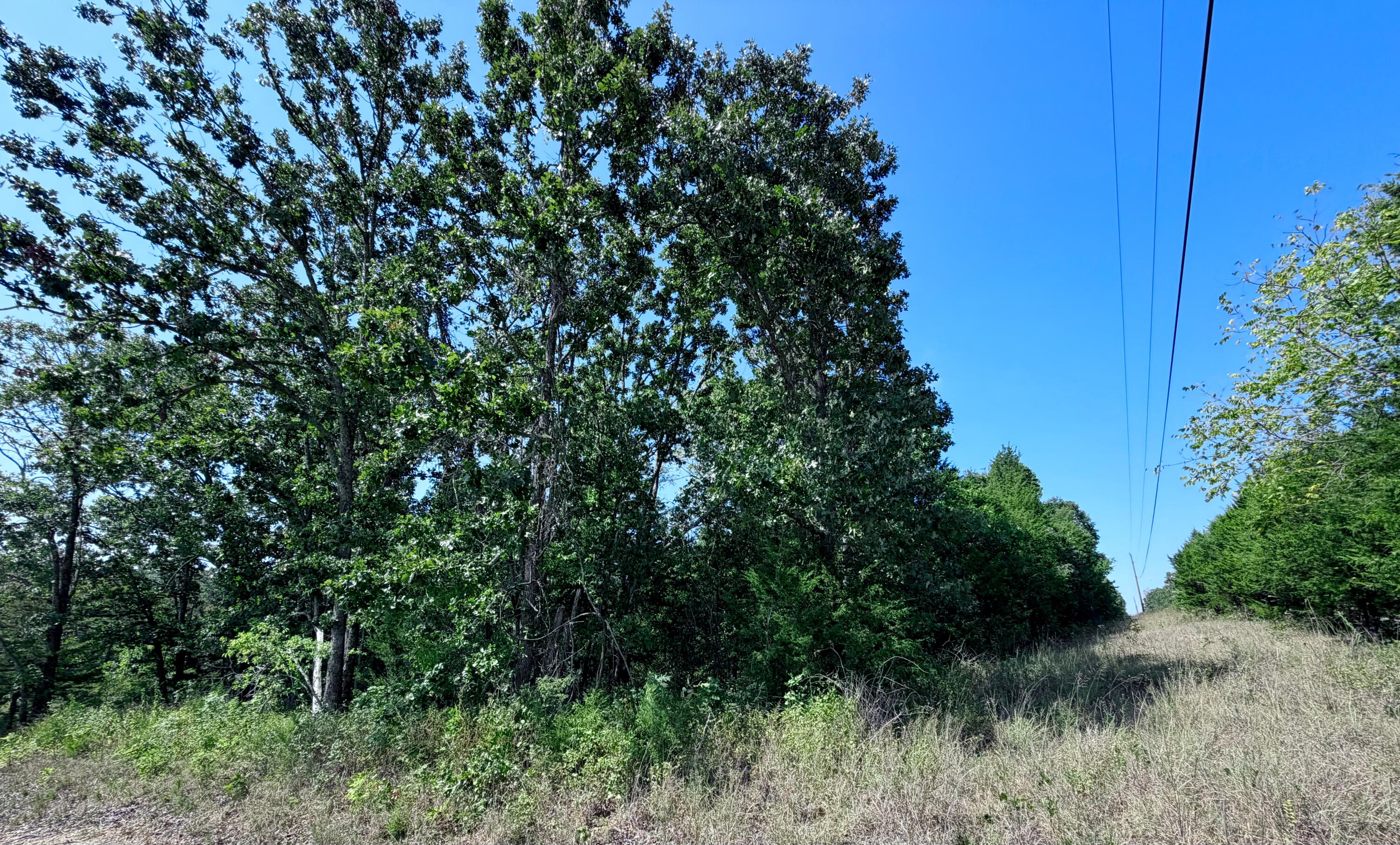 00 Oak Grove Road Property Photo 12