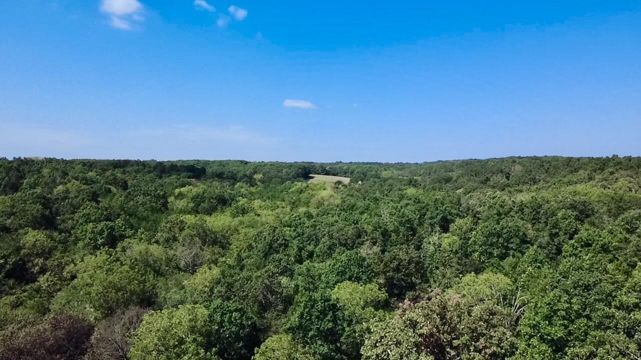00 Oak Grove Road Property Photo 16