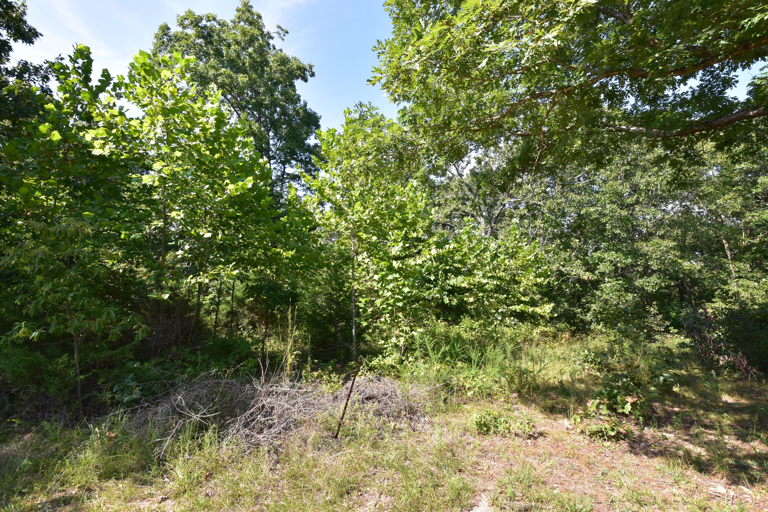 000 Deckard Road Property Photo 3