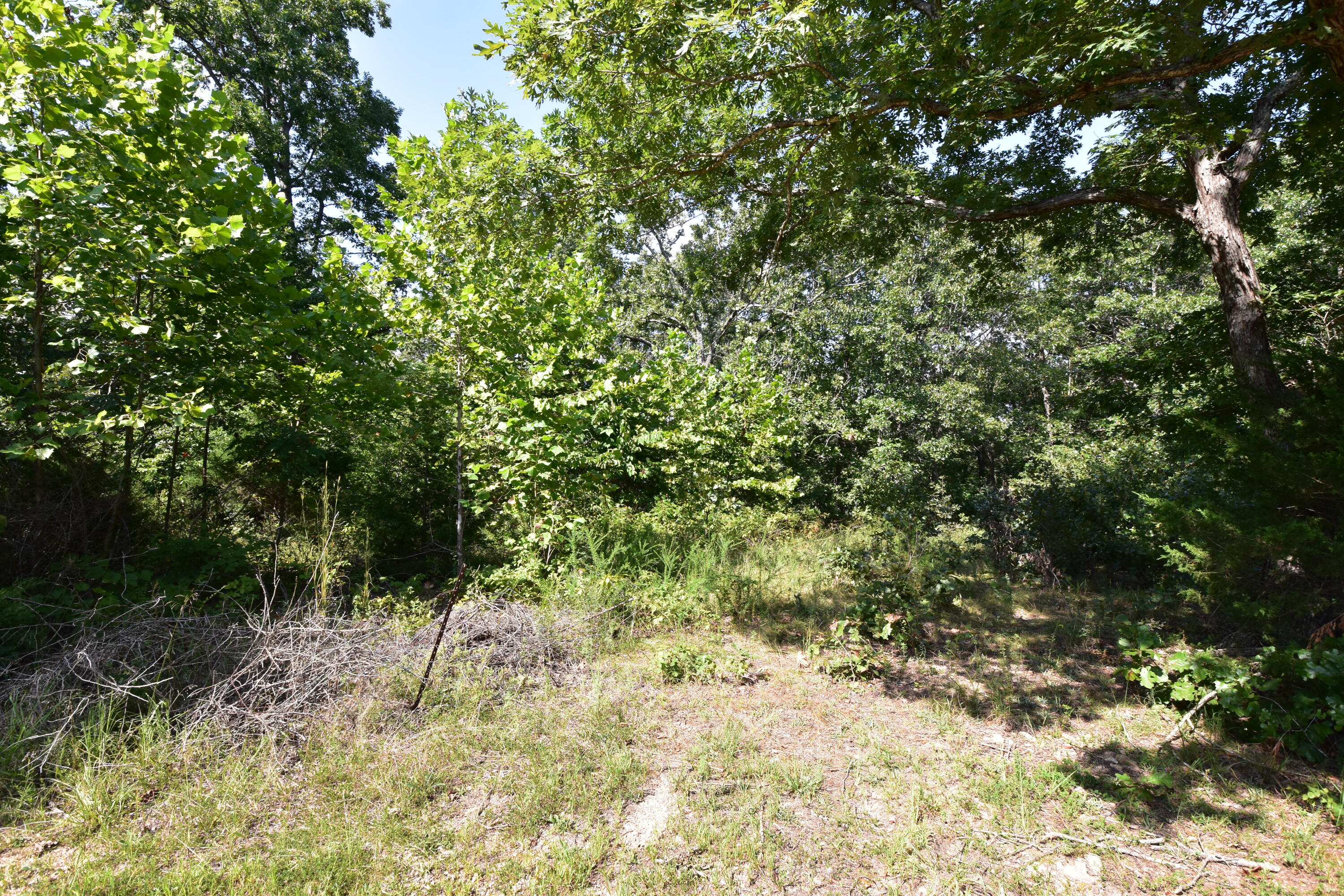 000 Deckard Road Property Photo 4