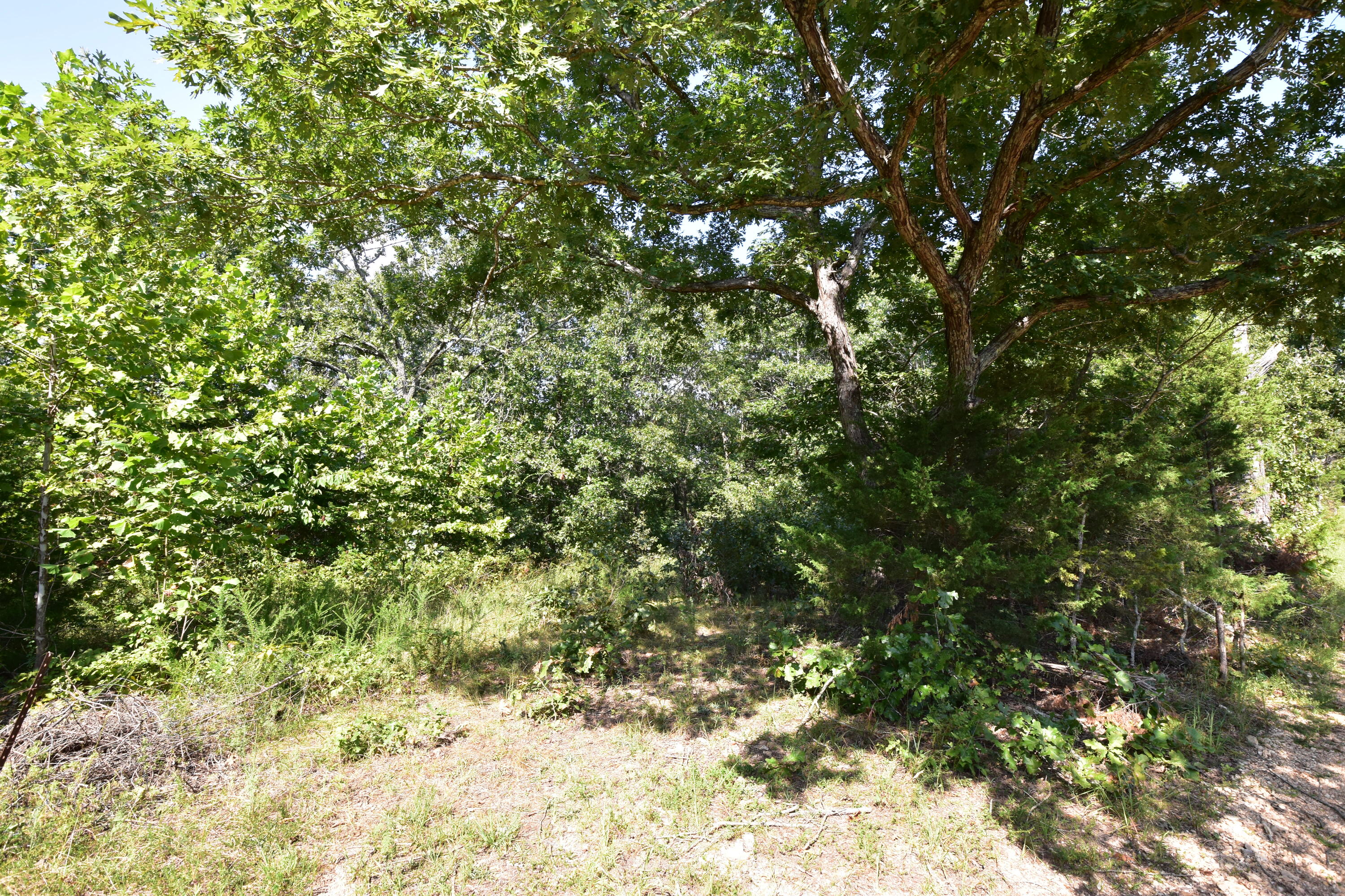 000 Deckard Road Property Photo 5