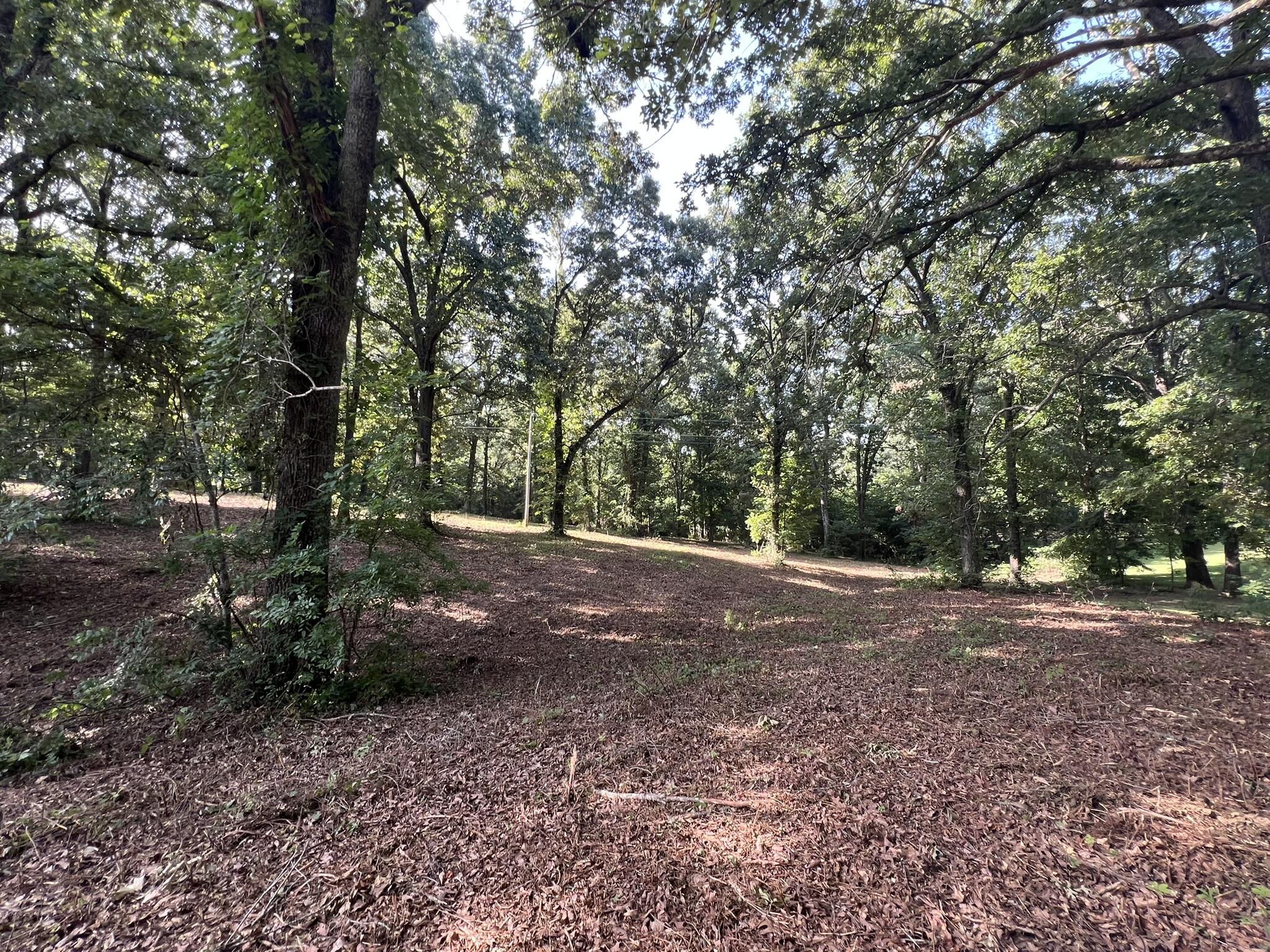 000 North Highway 9 Property Photo 5