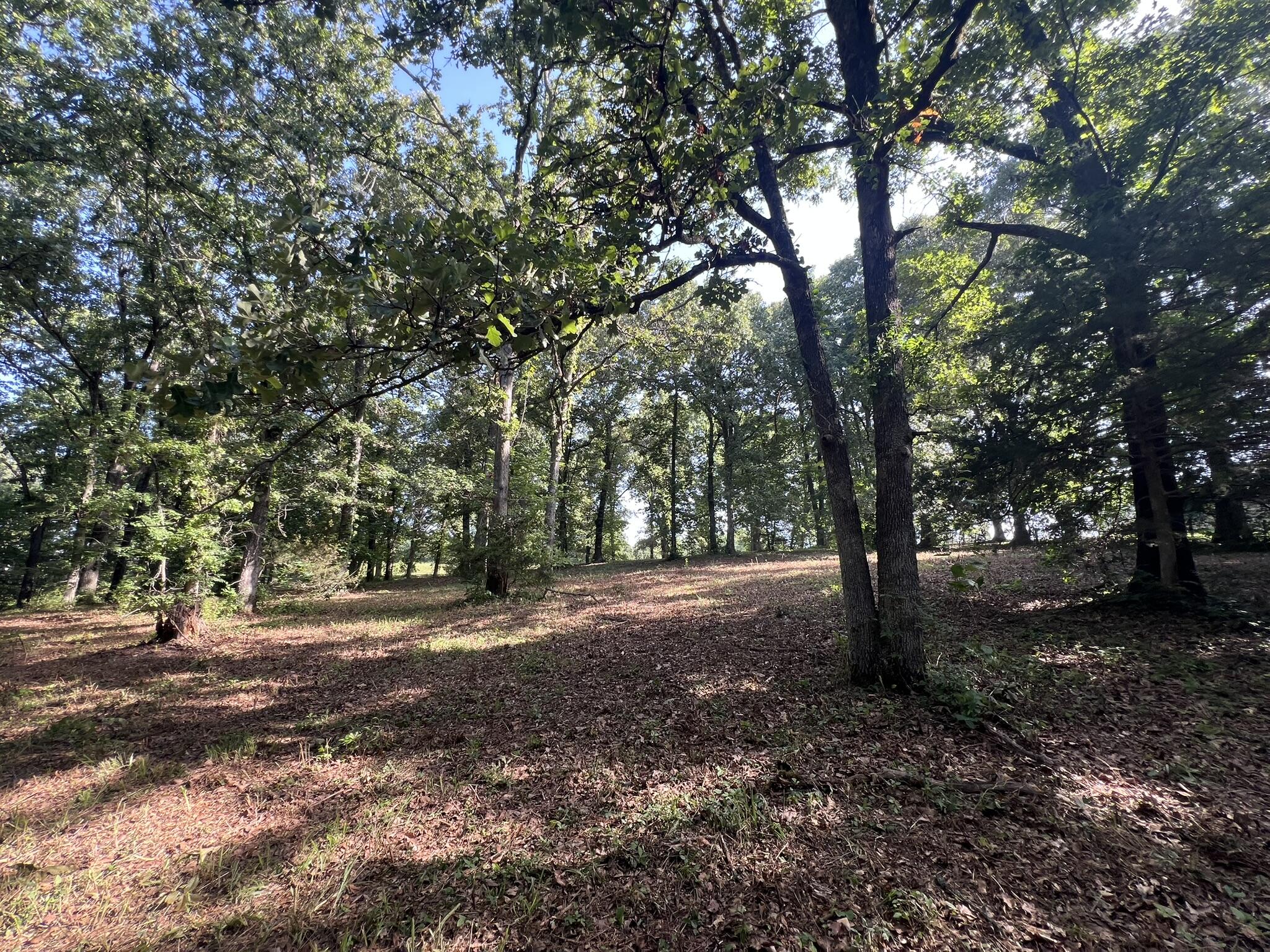 000 North Highway 9 Property Photo 10