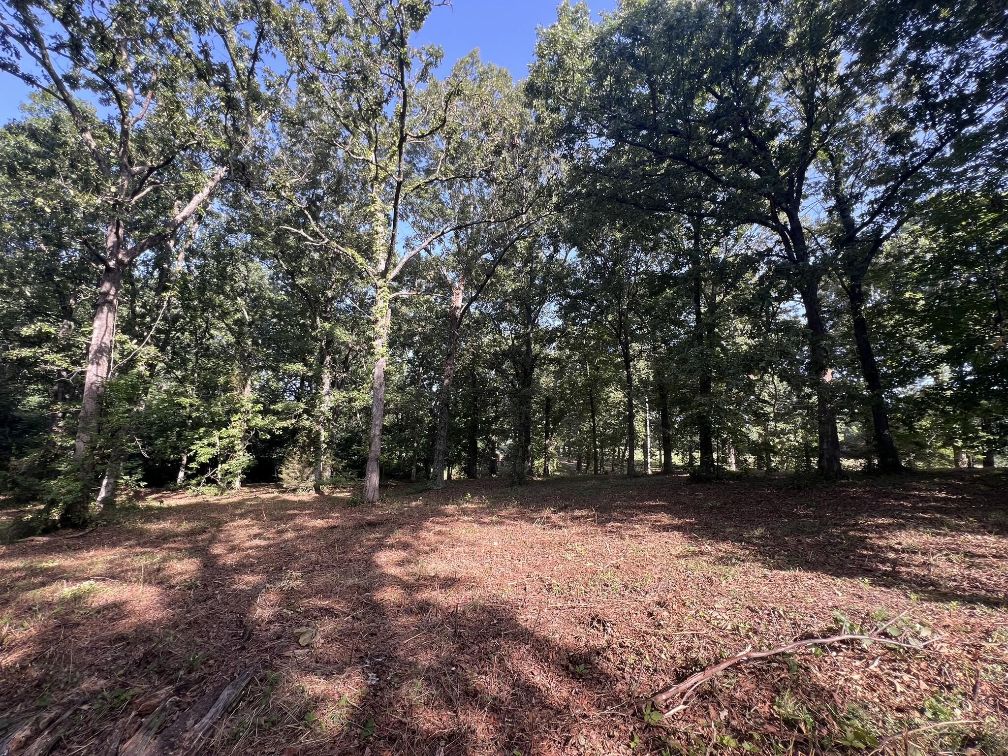 000 North Highway 9 Property Photo 13