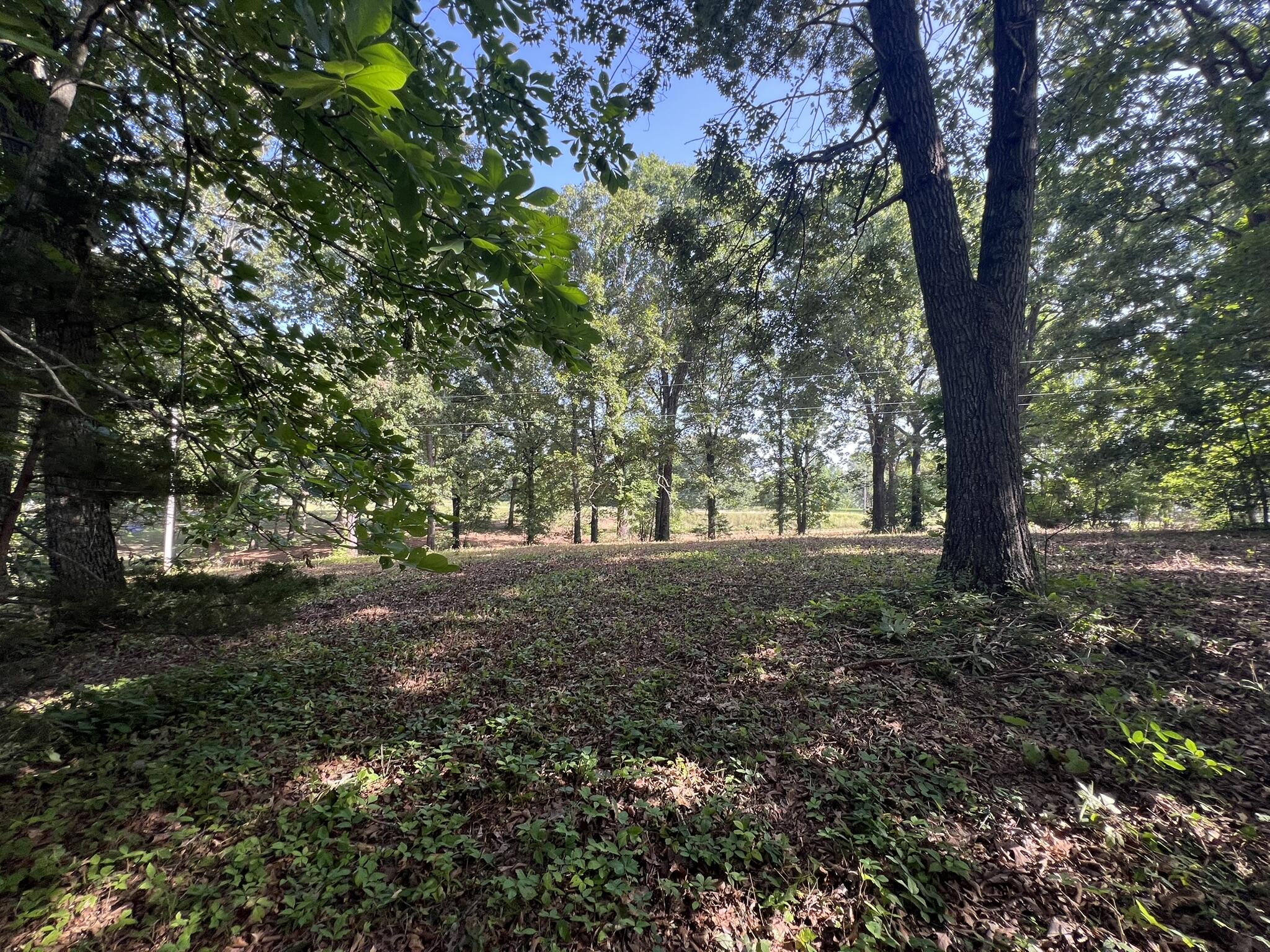 000 North Highway 9 Property Photo 14