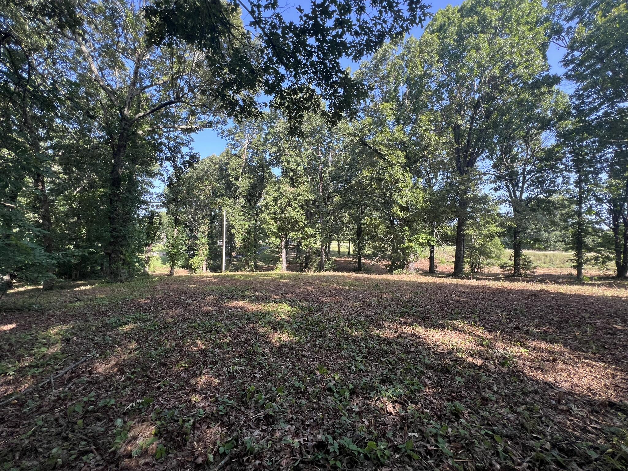 000 North Highway 9 Property Photo 15