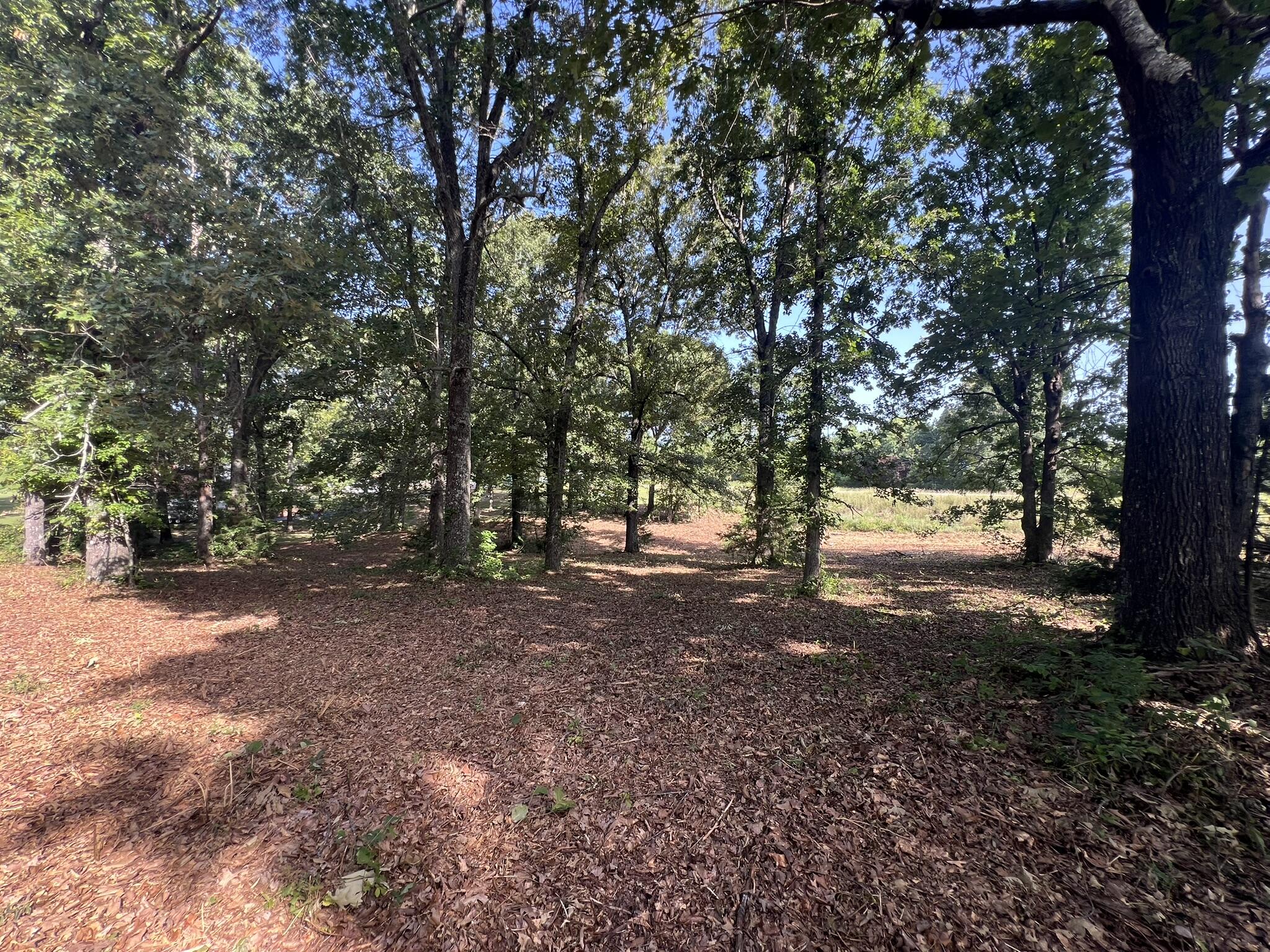 000 North Highway 9 Property Photo 18