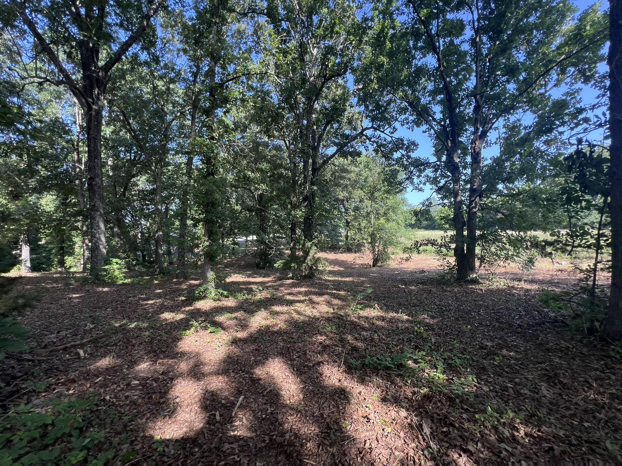 000 North Highway 9 Property Photo 19