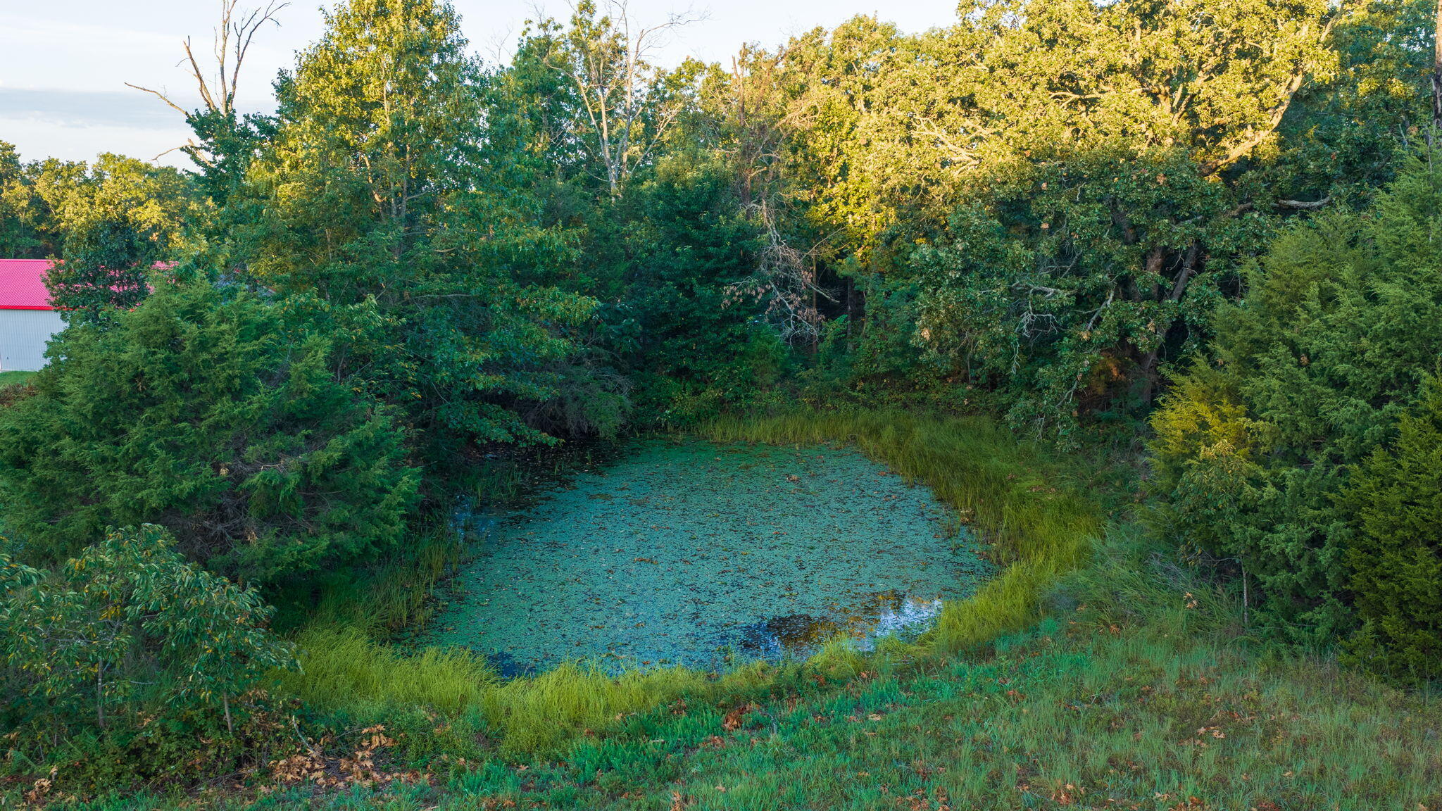 1350 County Road 317 Property Photo 62