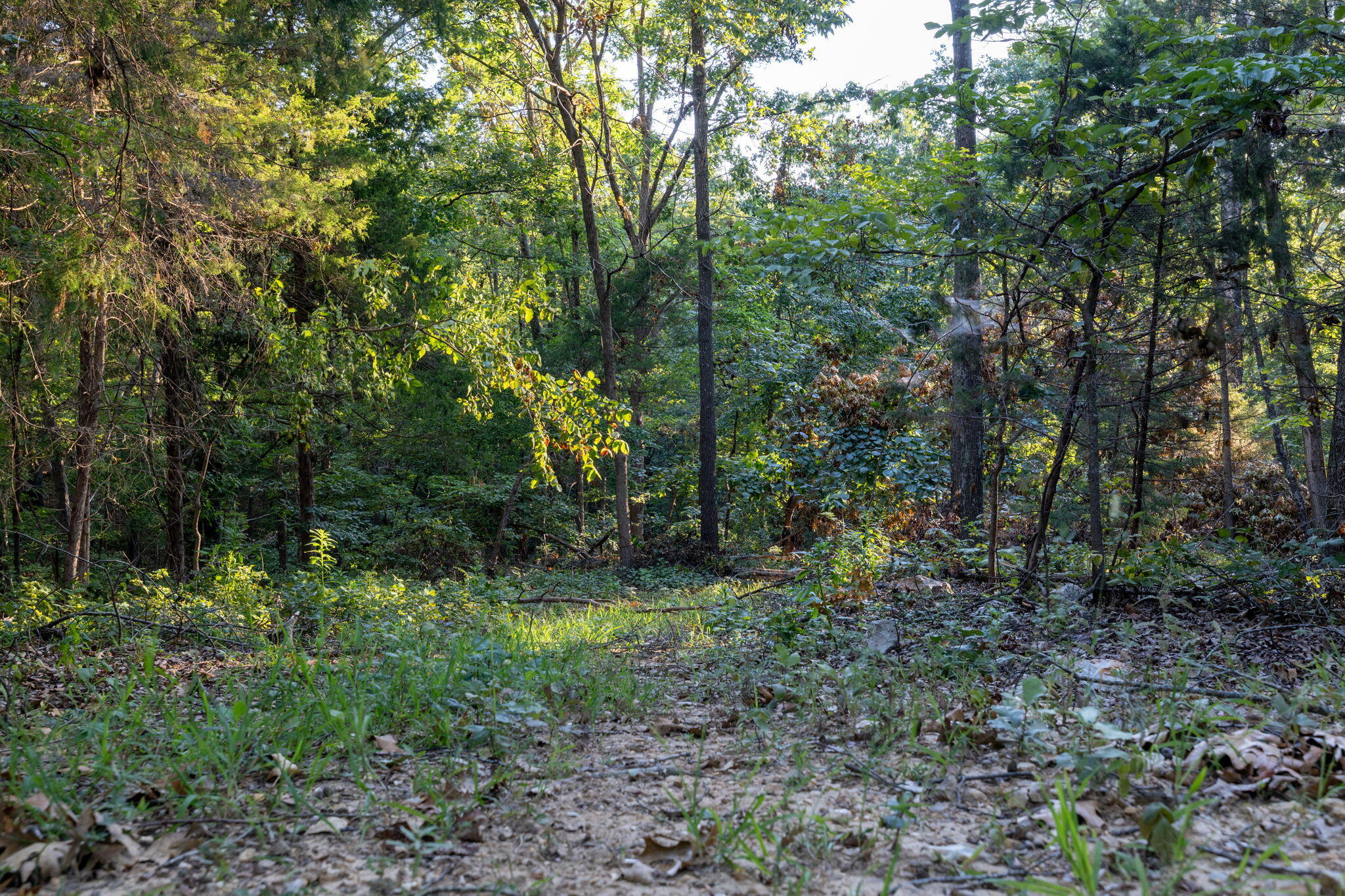 1350 County Road 317 Property Photo 79