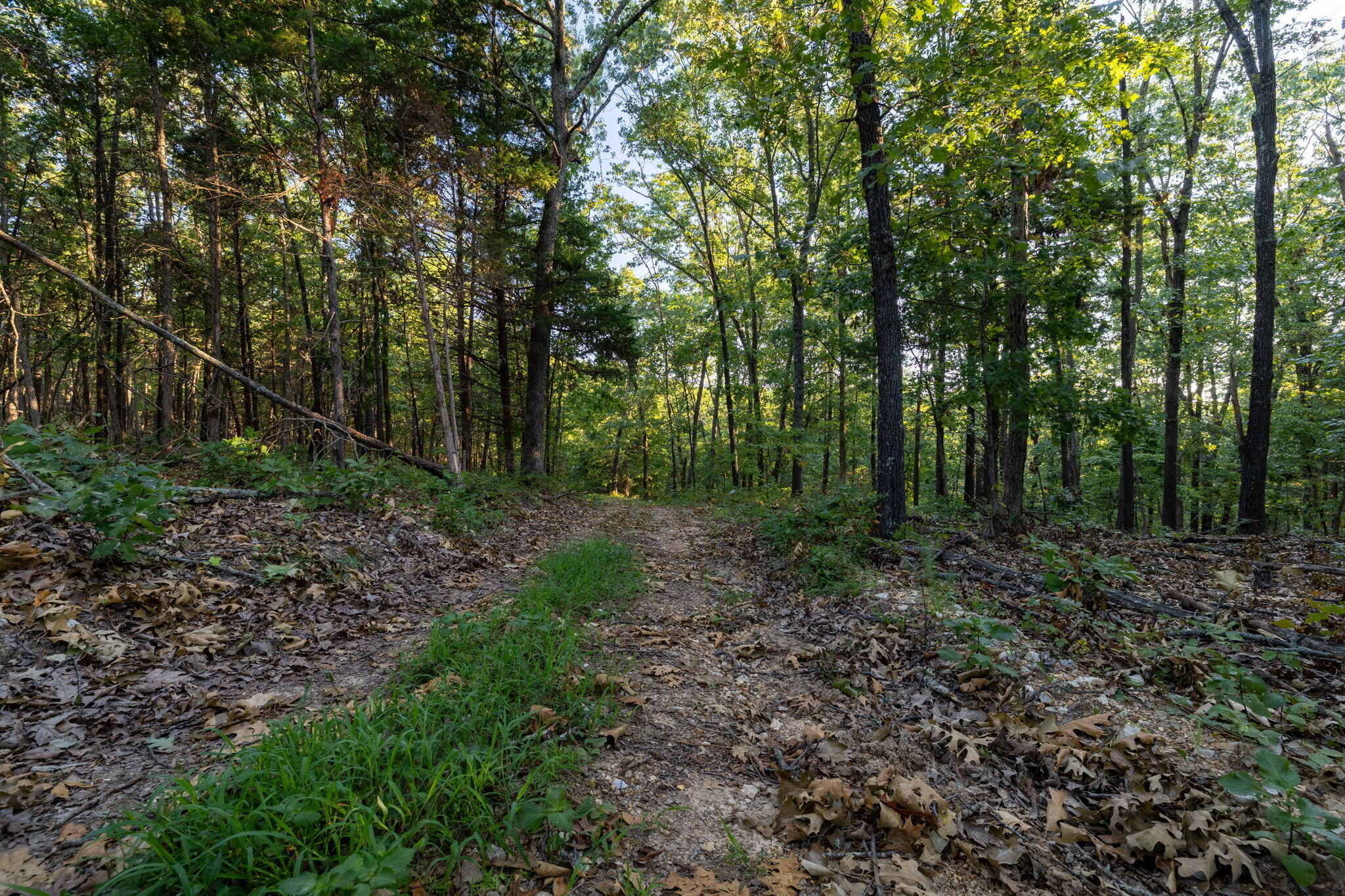 1350 County Road 317 Property Photo 81