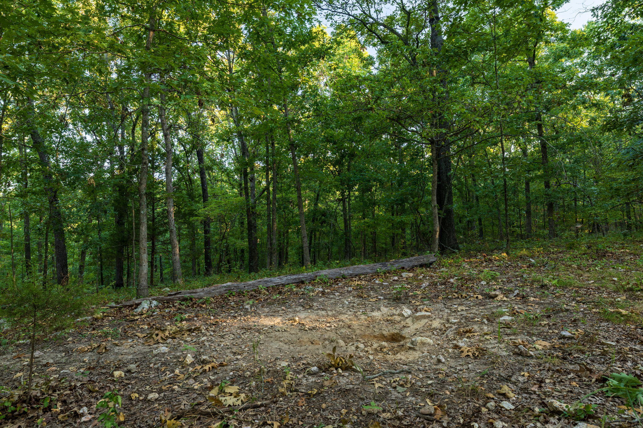 1350 County Road 317 Property Photo 86