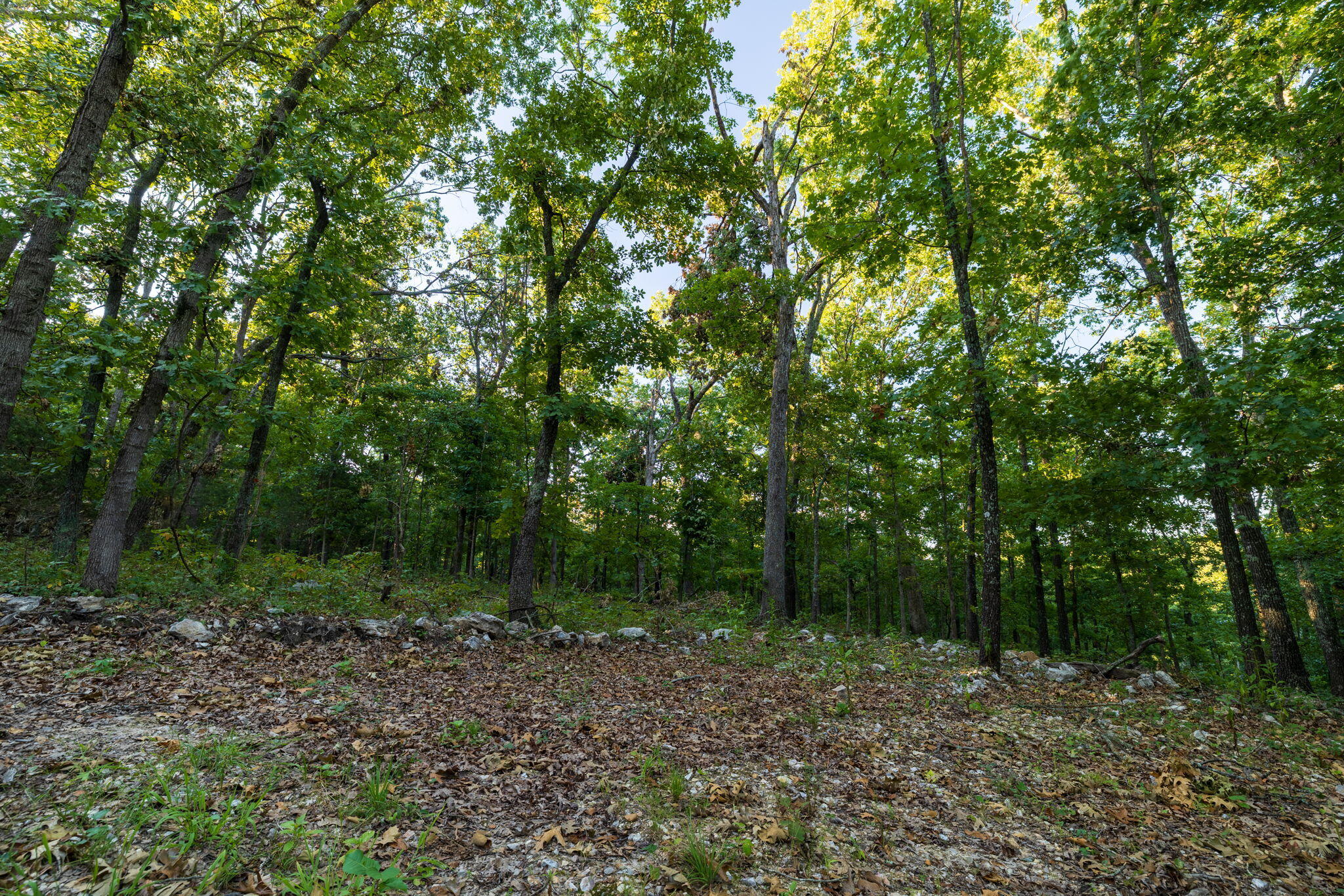 1350 County Road 317 Property Photo 87