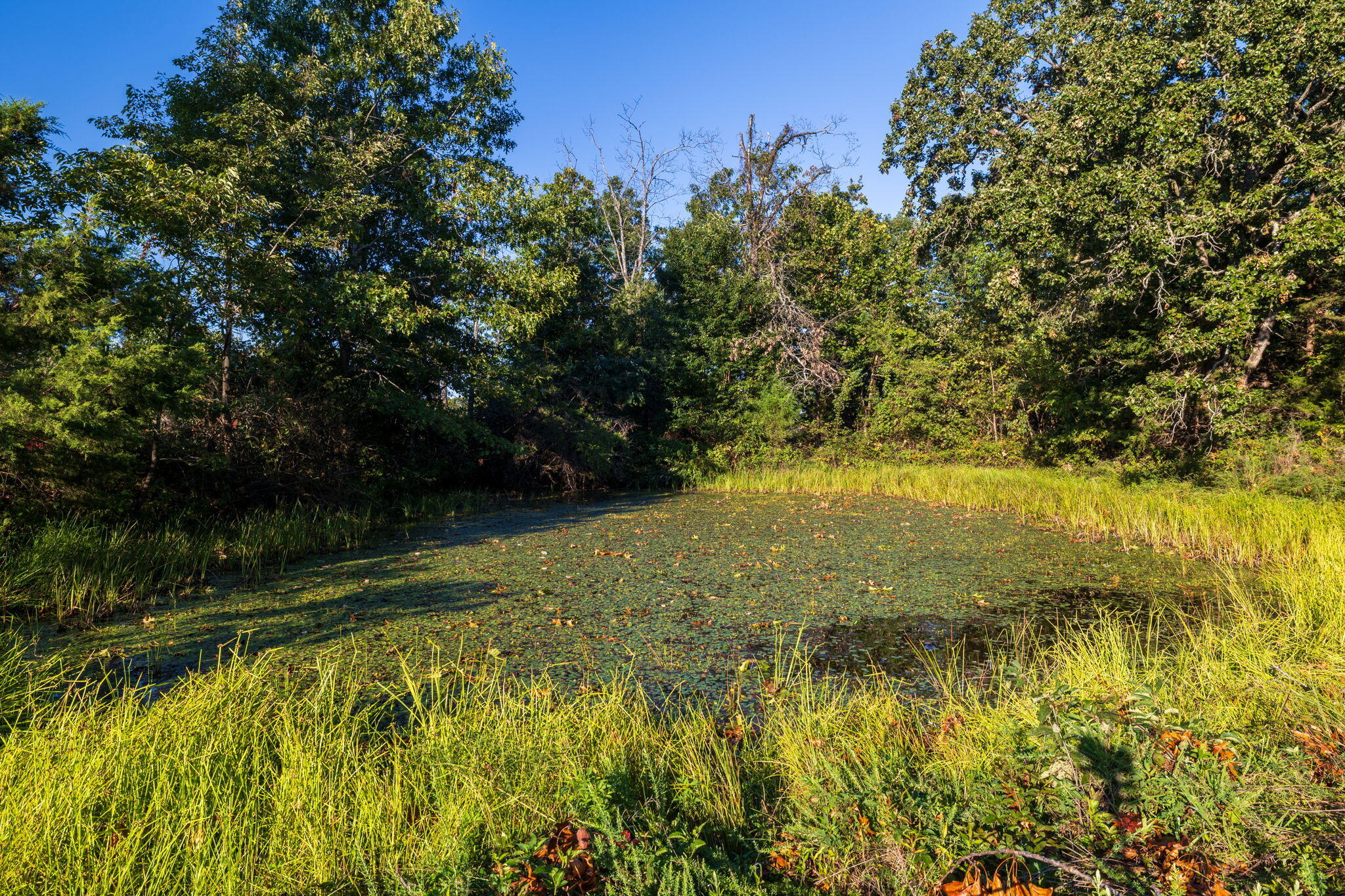 1350 County Road 317 Property Photo 89