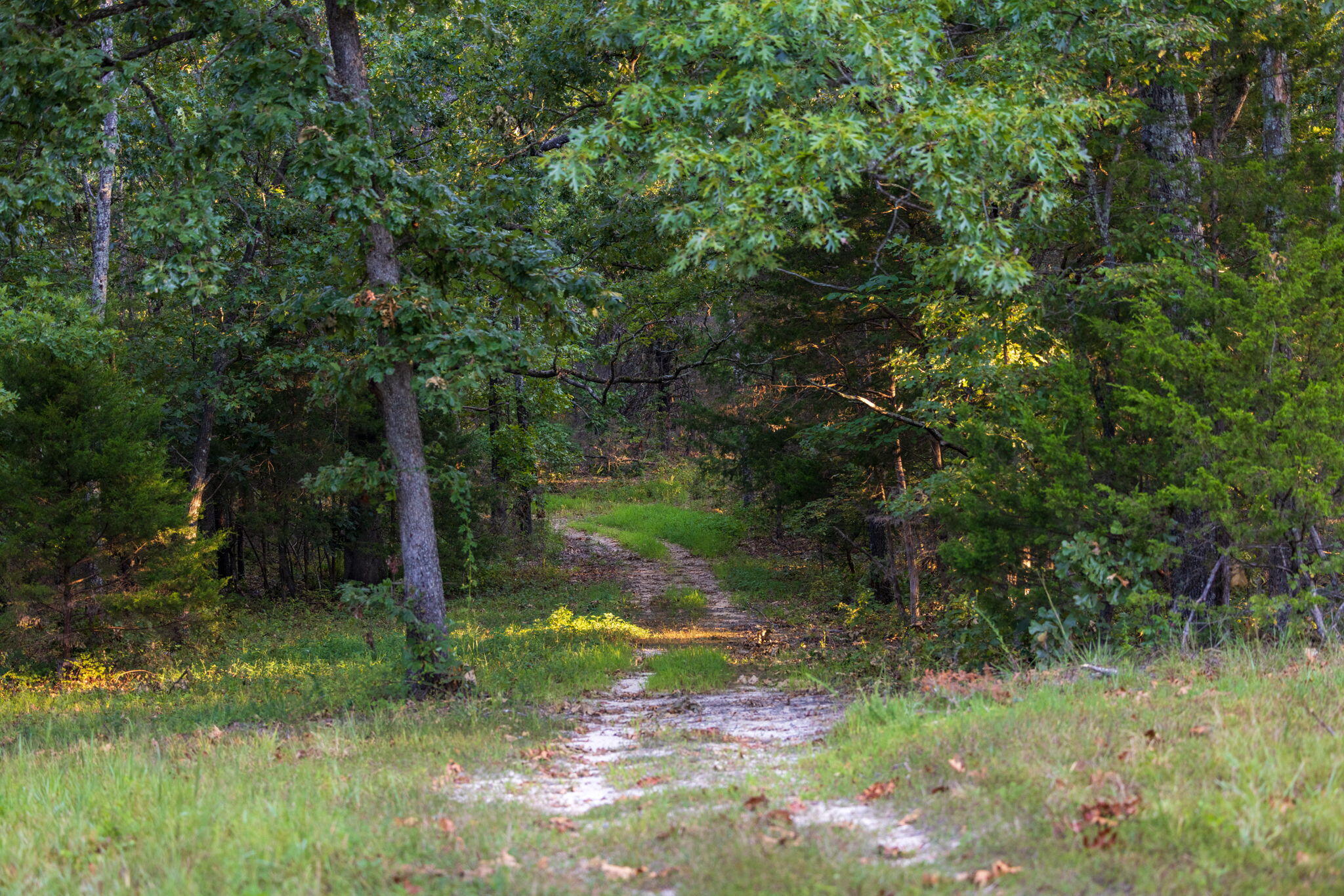1350 County Road 317 Property Photo 91
