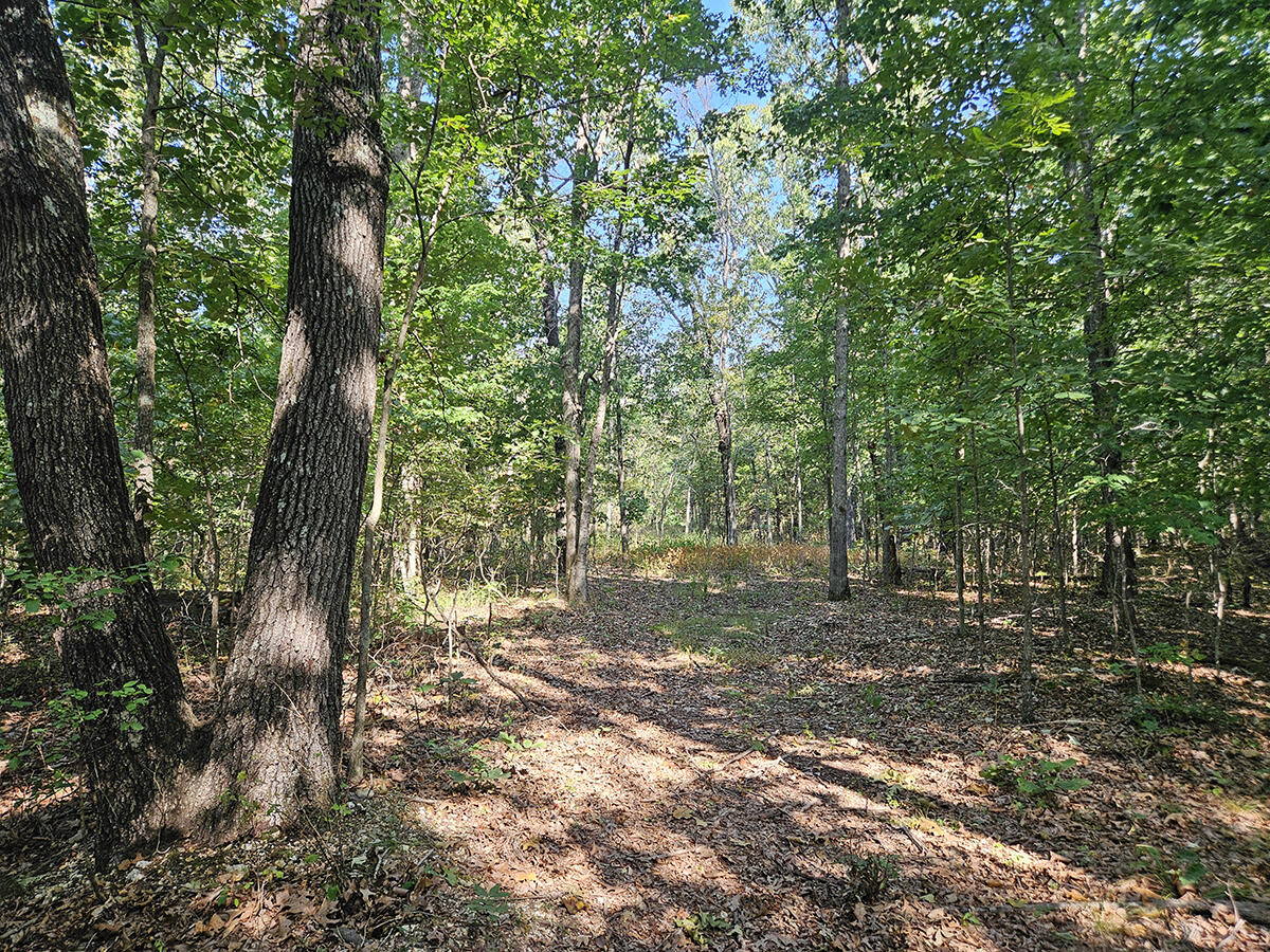 3699 Highway M Property Photo 51