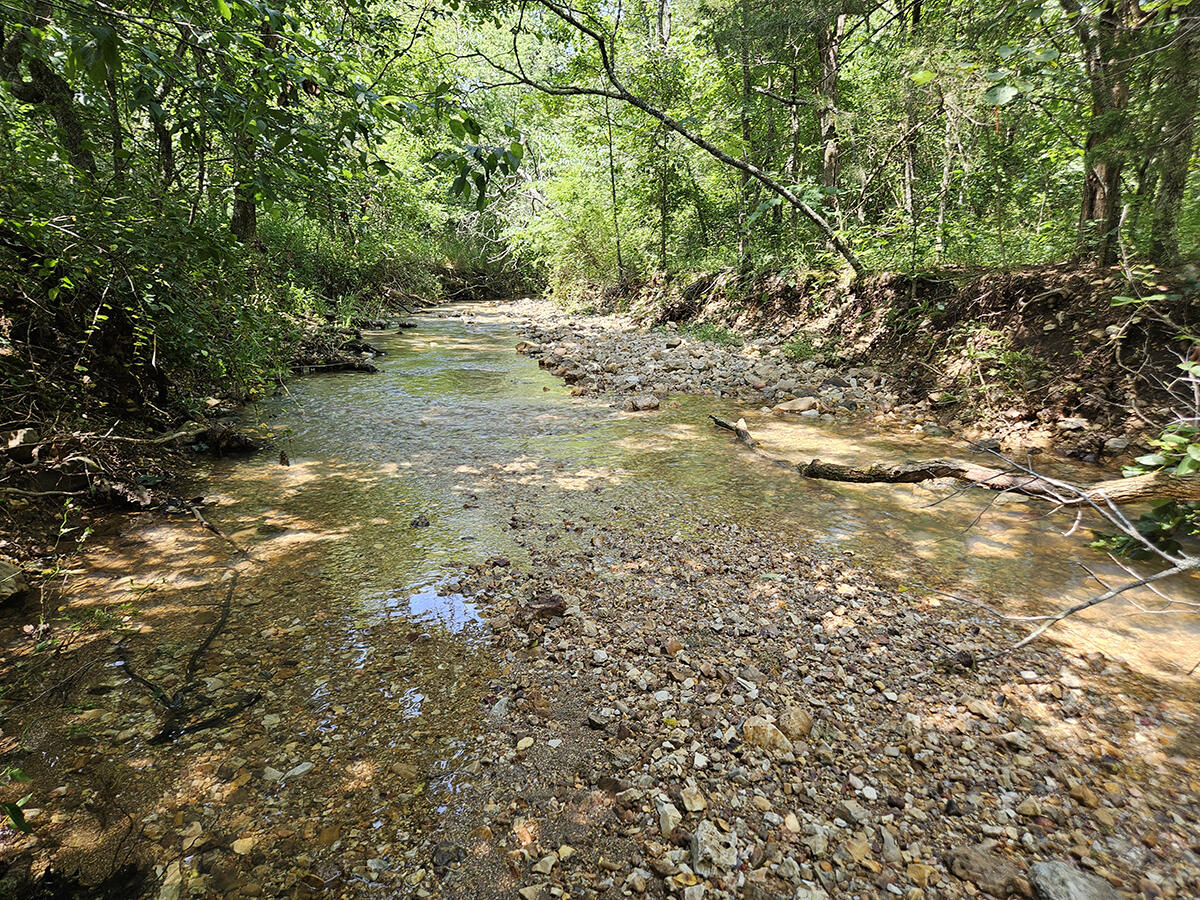 3699 Highway M Property Photo 3