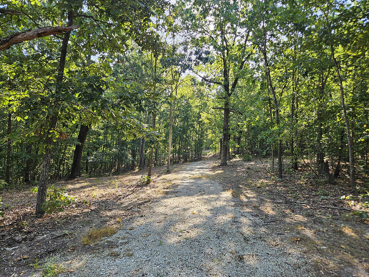 3699 Highway M Property Photo 8
