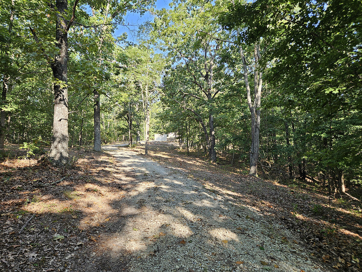 3699 Highway M Property Photo 11