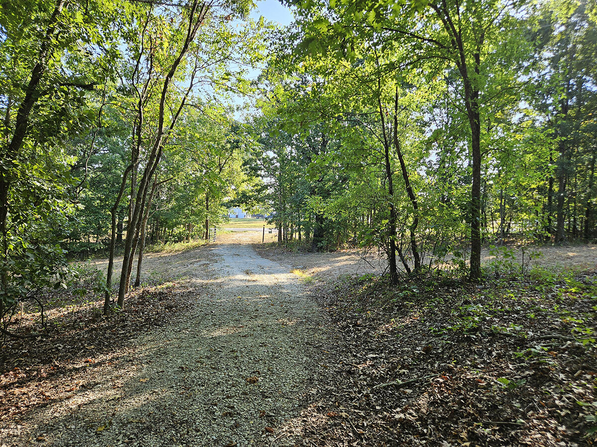 3699 Highway M Property Photo 13