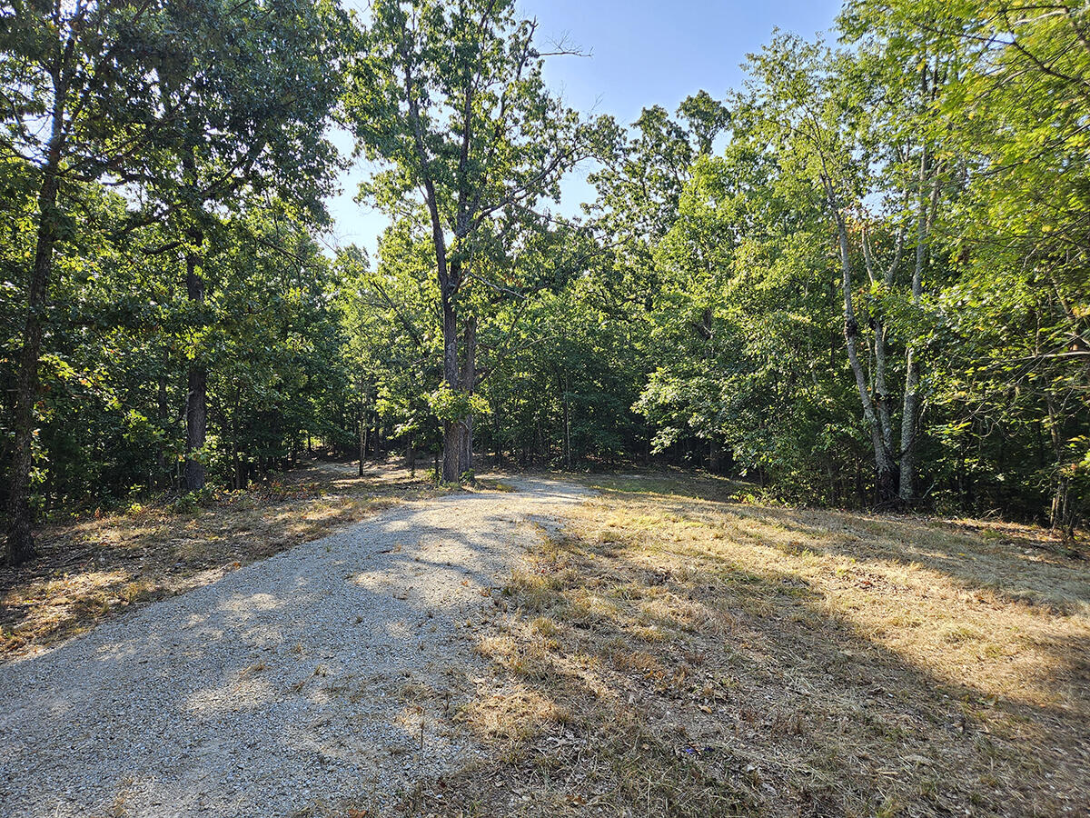3699 Highway M Property Photo 14