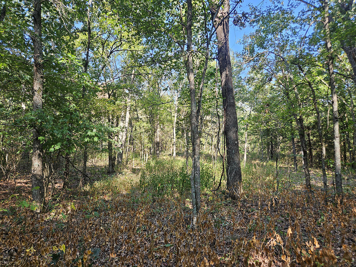 3699 Highway M Property Photo 38