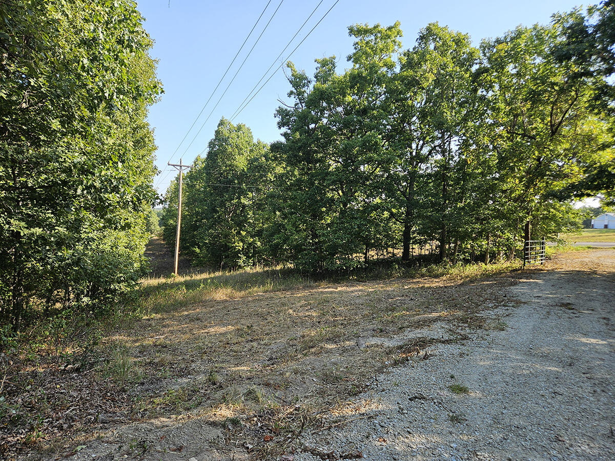 3699 Highway M Property Photo 40
